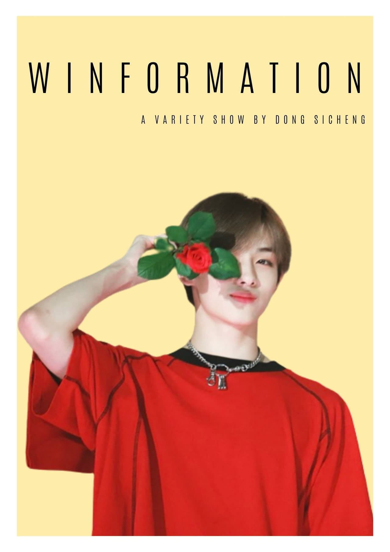 winformation preview 2