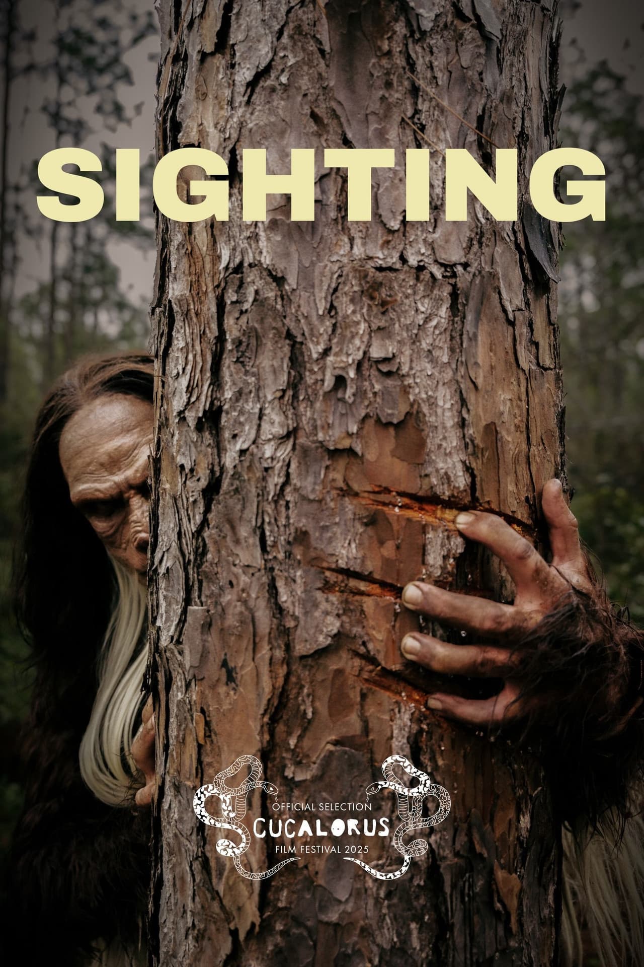 Sighting preview 2