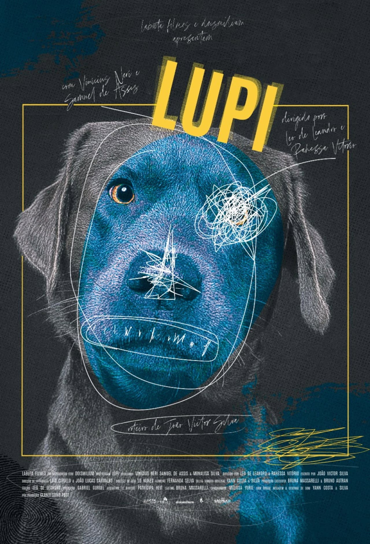 LUPI preview 1
