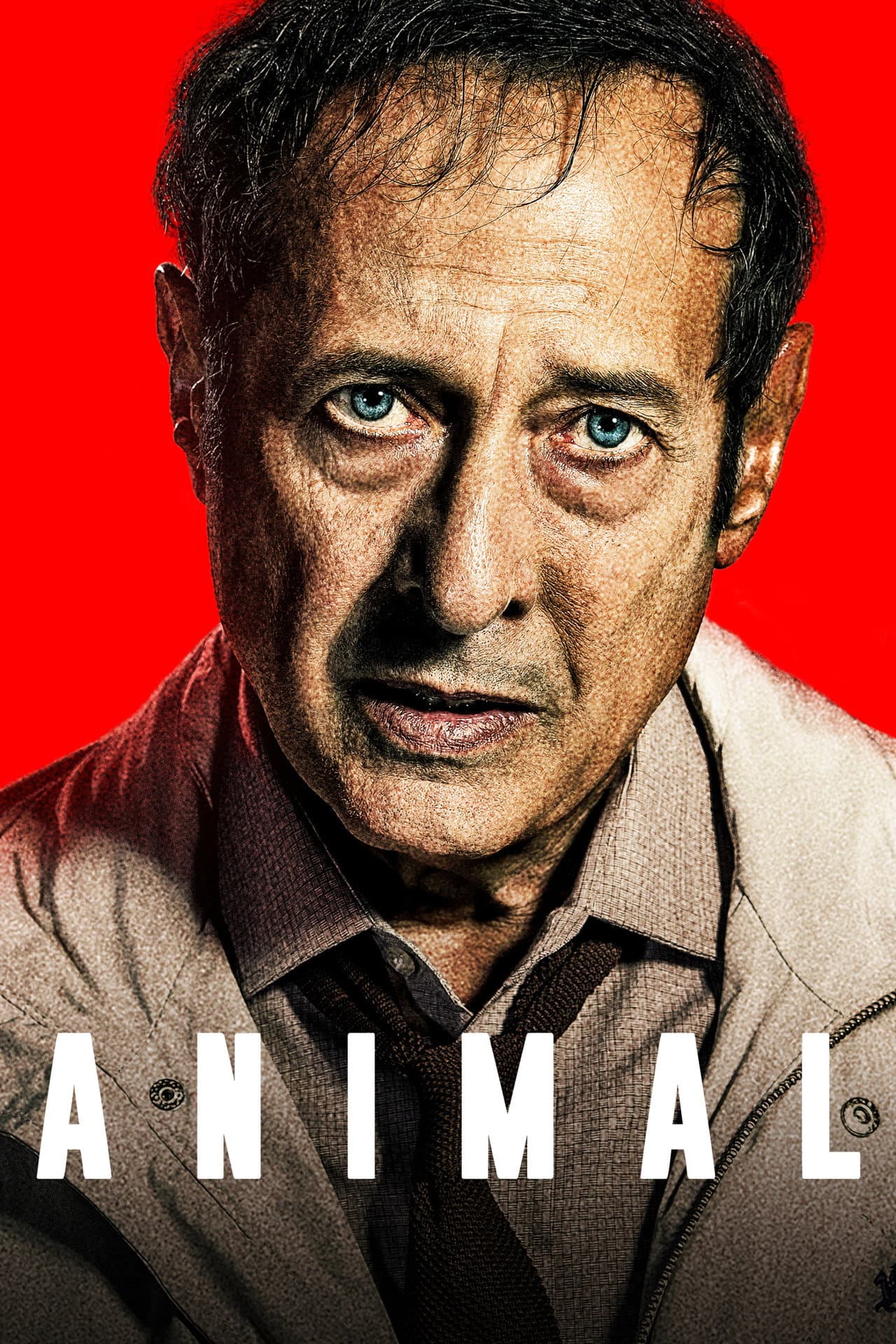 Animal preview 2