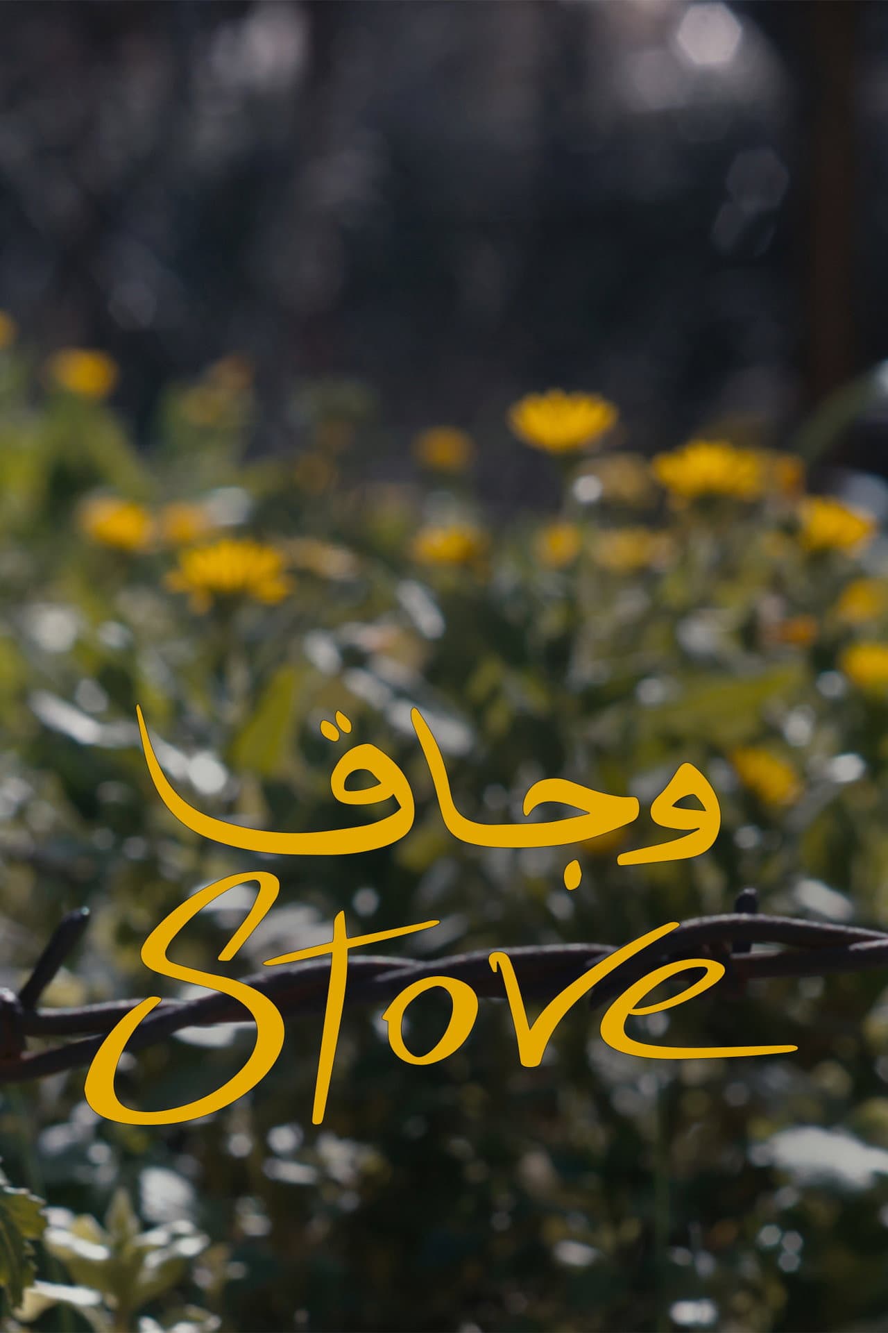 Stove preview 1