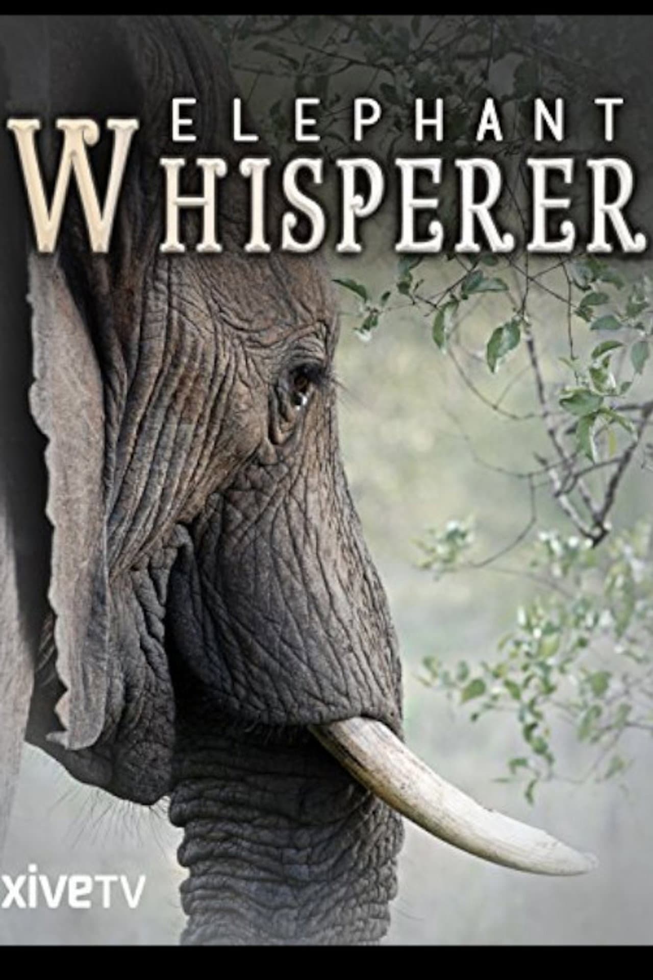 Elephant Whisperer preview 1