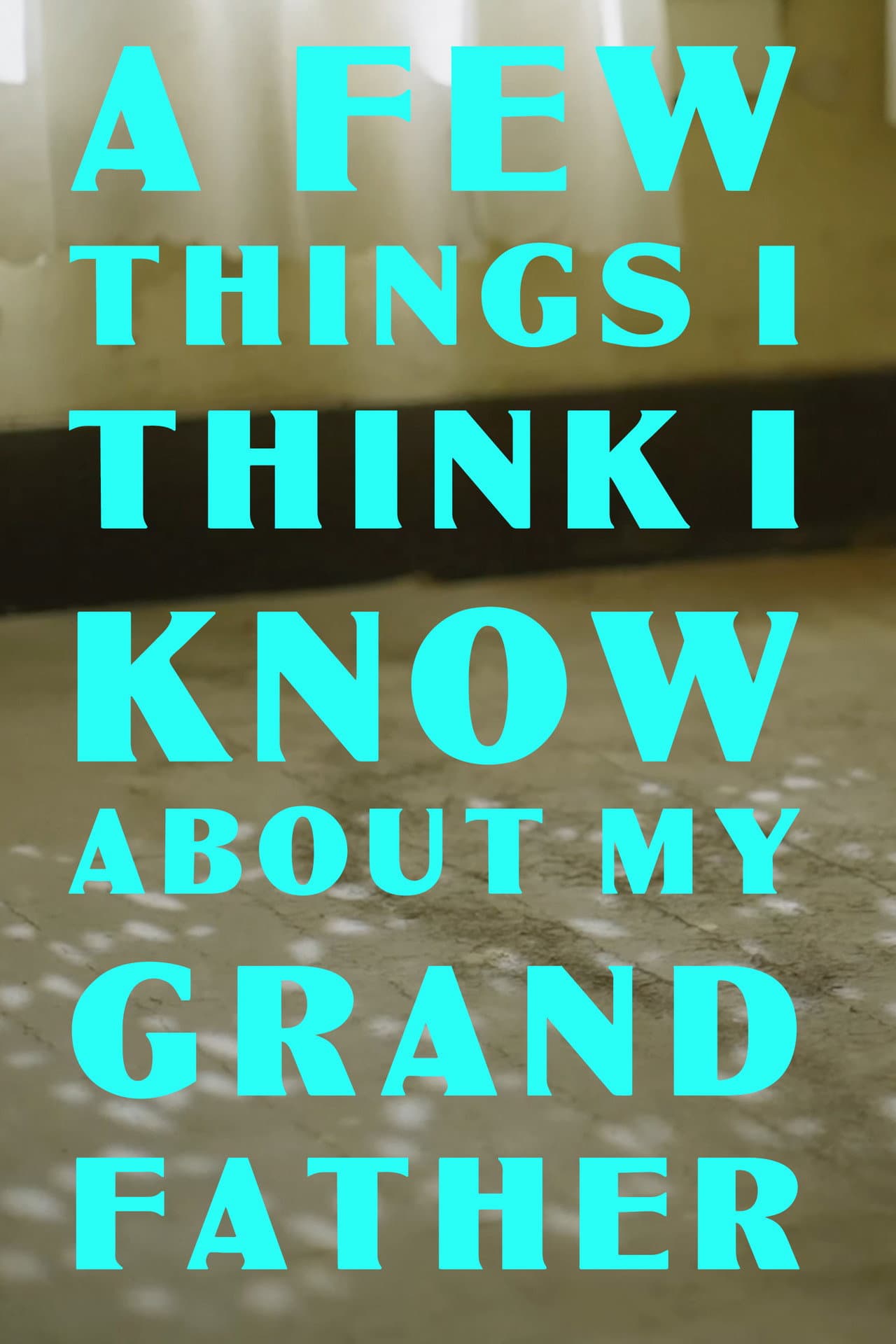 A Few Things I Think I Know About my Grandfather preview 2
