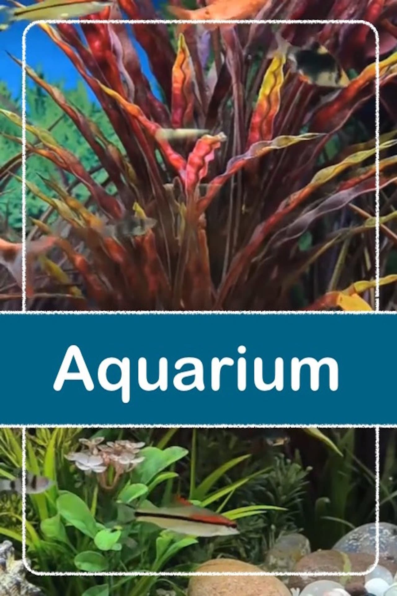 Relaxing Aquarium preview 2