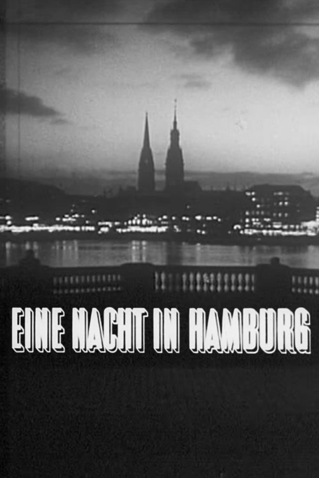 Eine Nacht in Hamburg preview 1