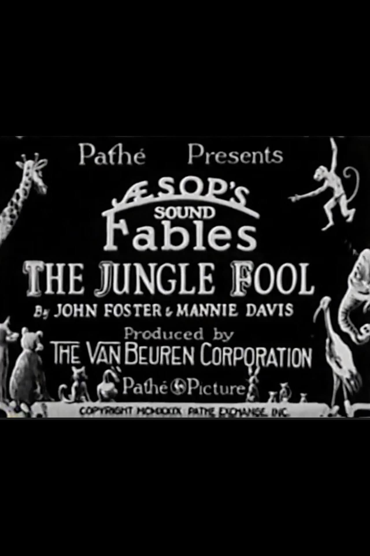 The Jungle Fool preview 1