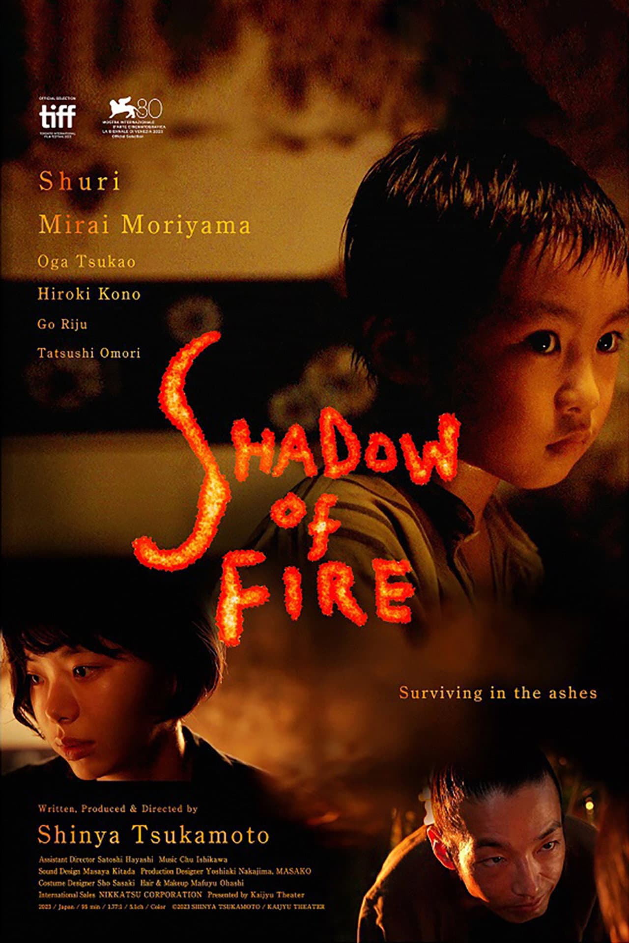 Shadow of Fire preview 2