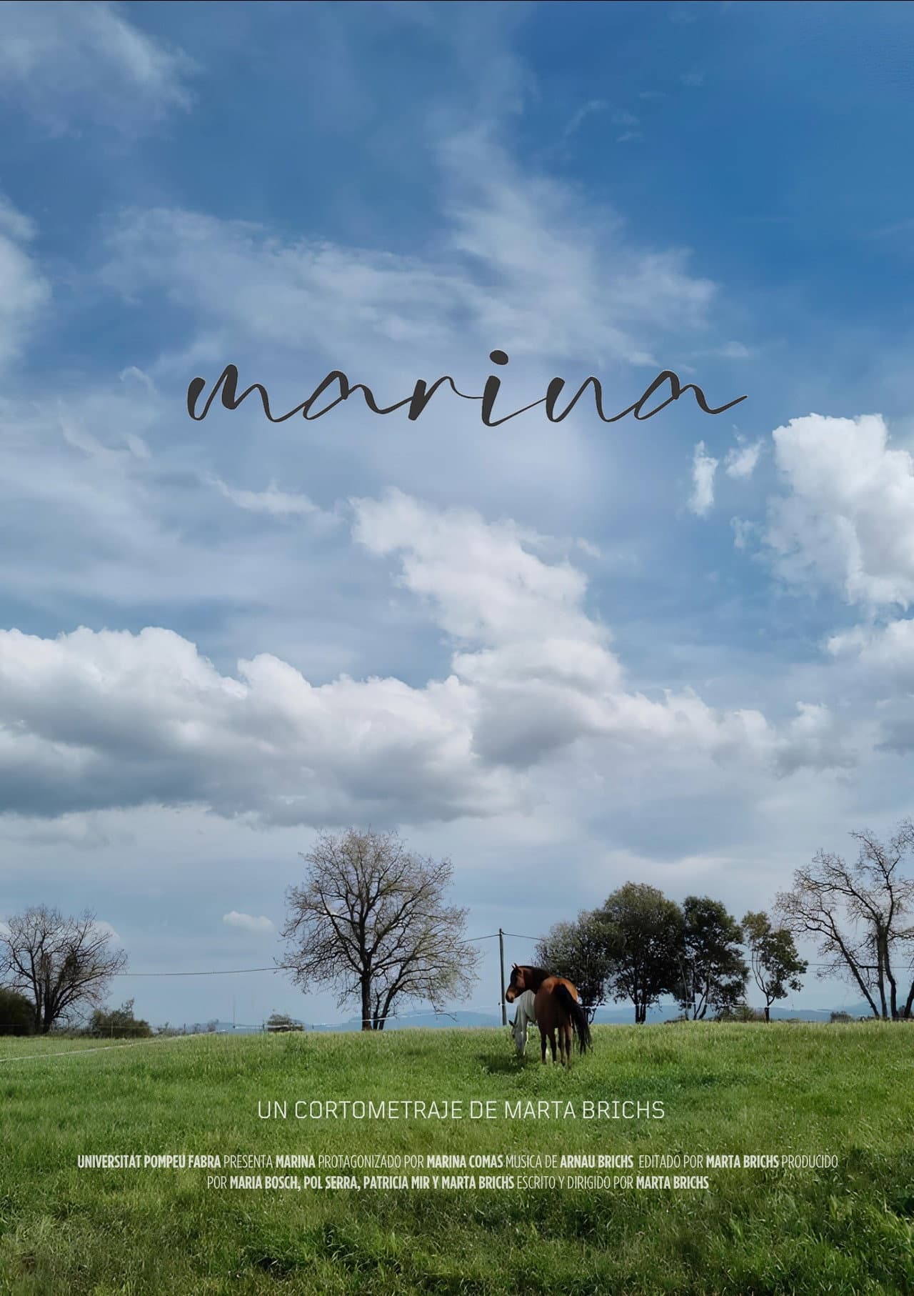 Marina preview 2