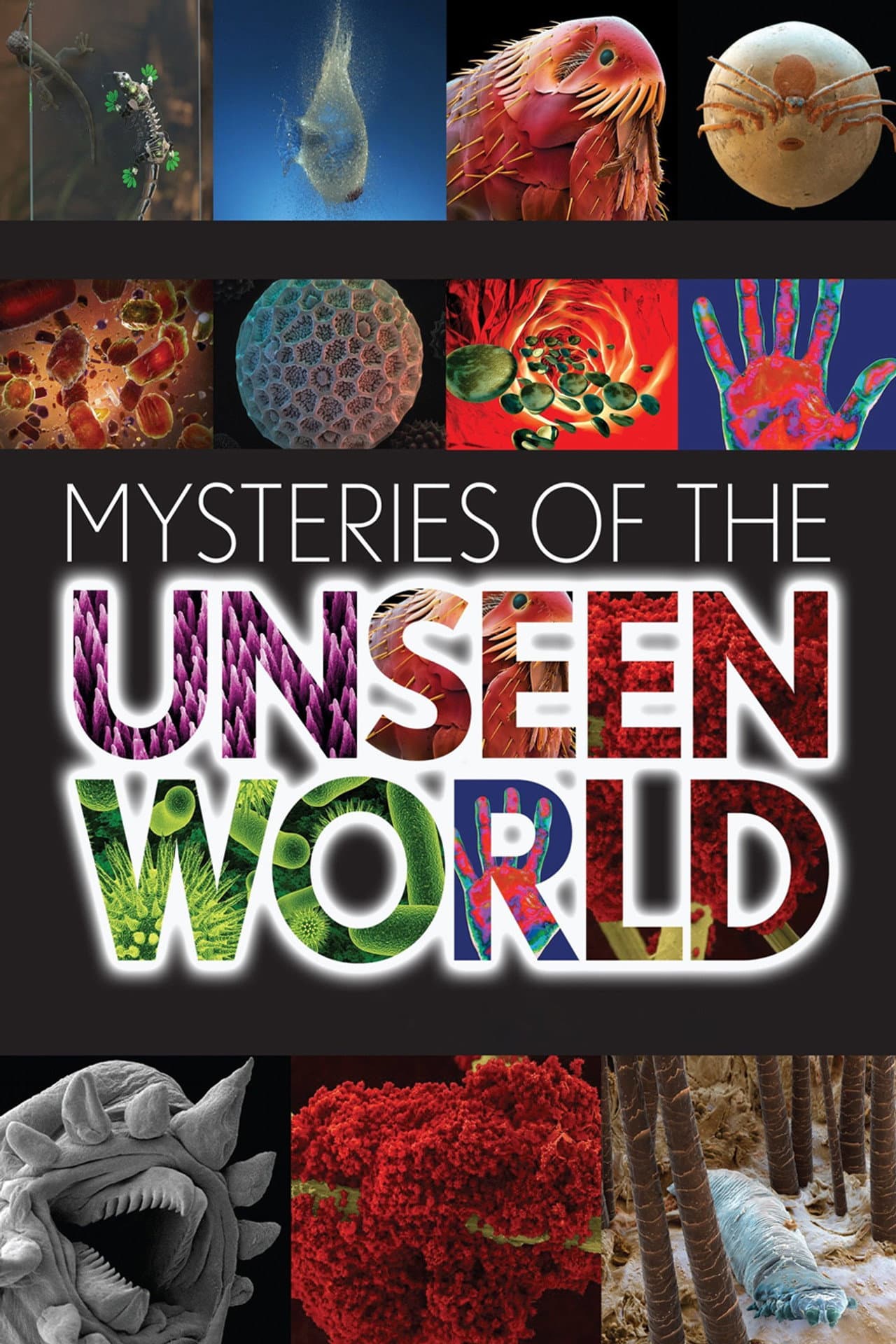 Mysteries of the Unseen World preview 1