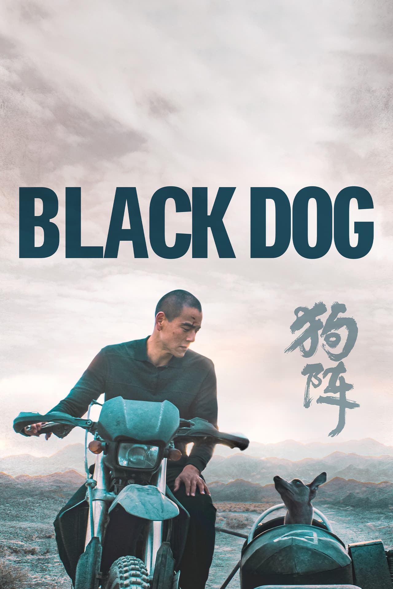Black Dog preview 2