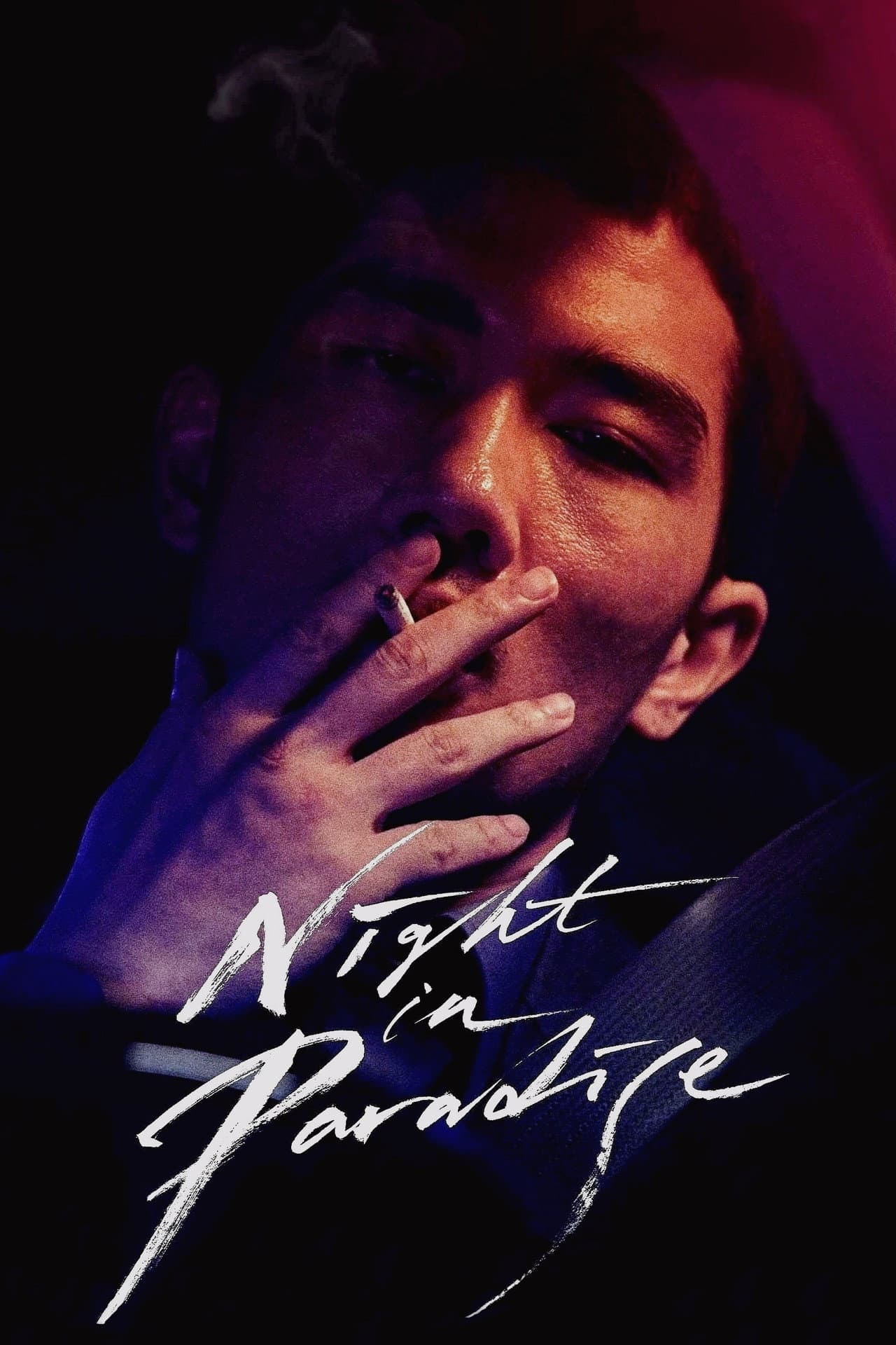 Night in Paradise preview 2