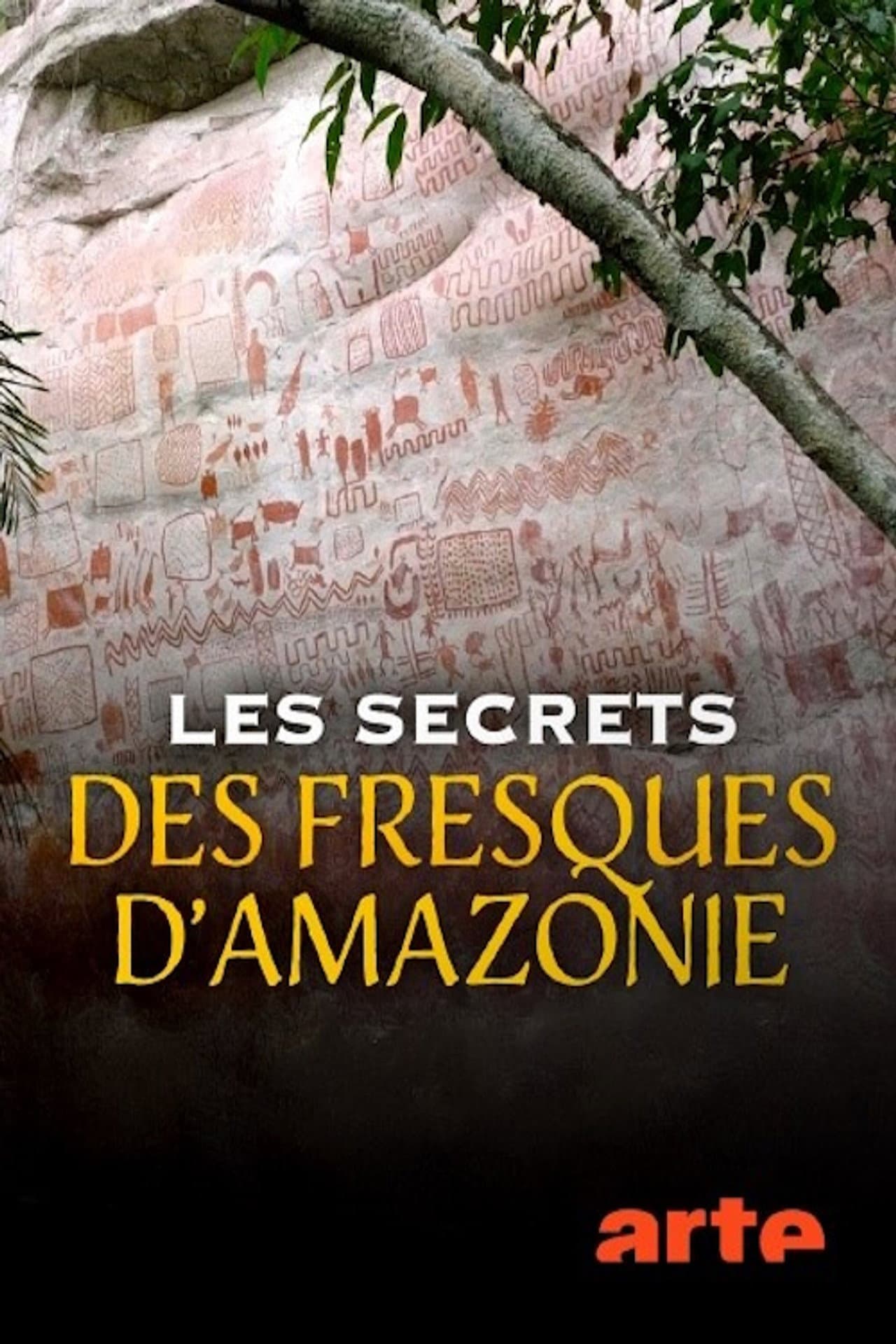 Les secrets des fresques d'Amazonie preview 2