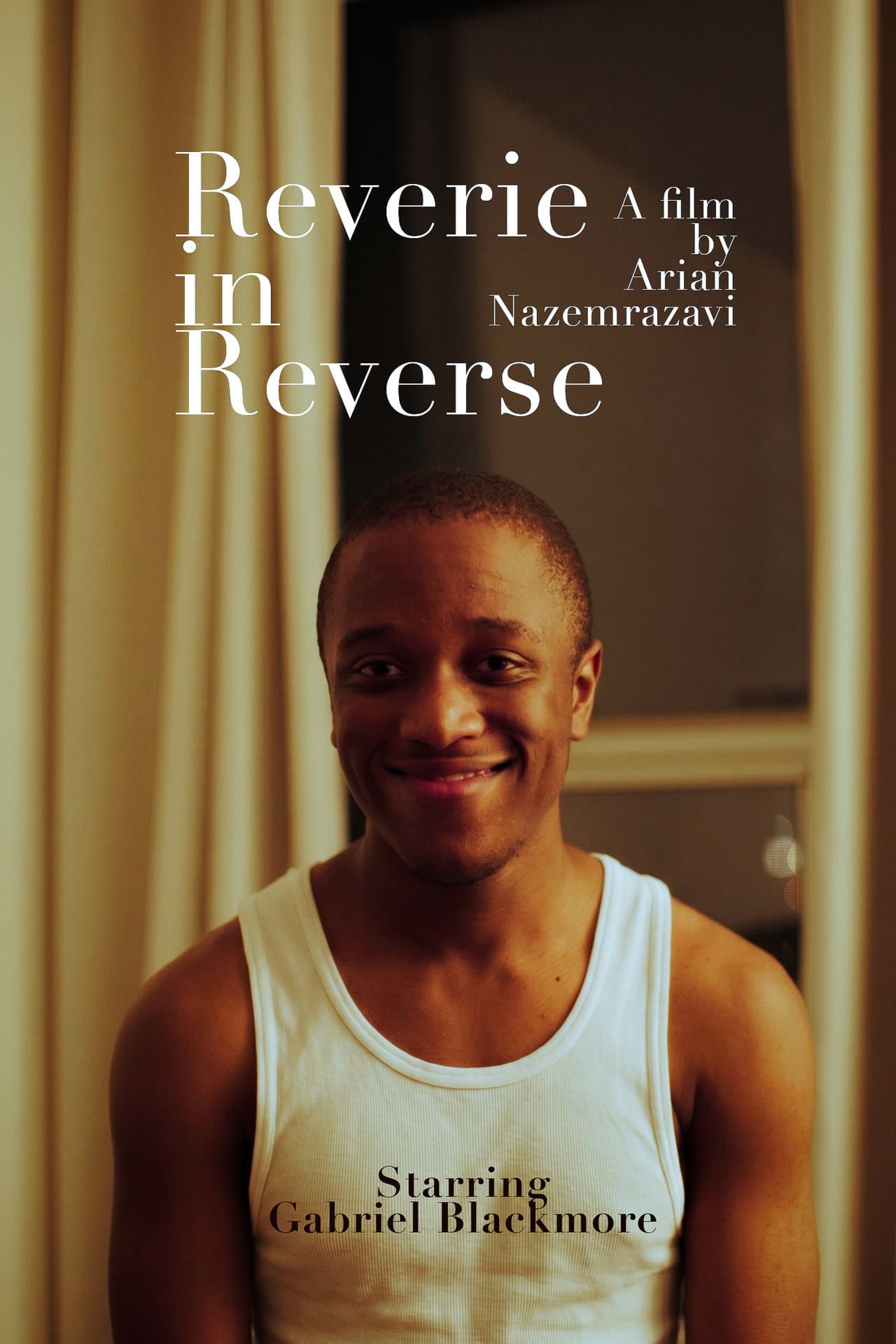Reverie in Reverse preview 2