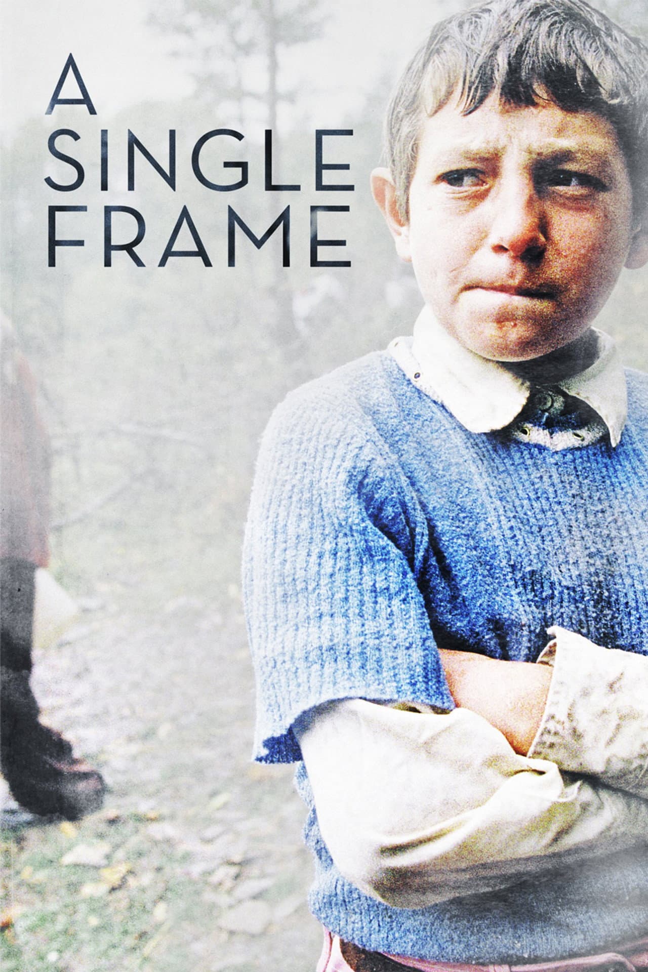 A Single Frame preview 2