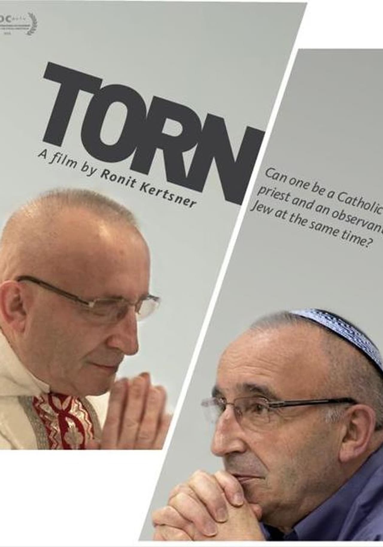 Torn preview 1