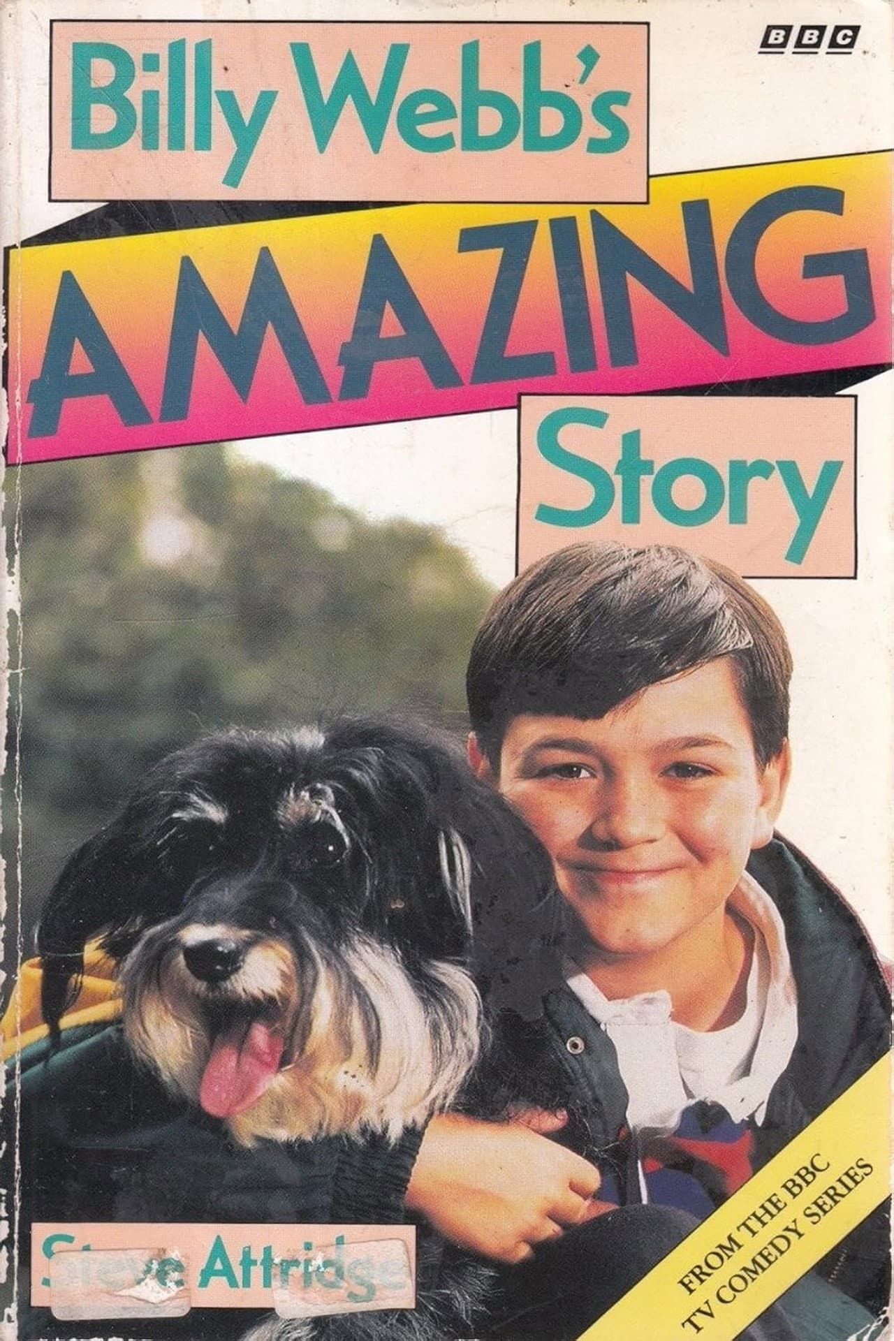 Billy Webb's Amazing Story preview 2