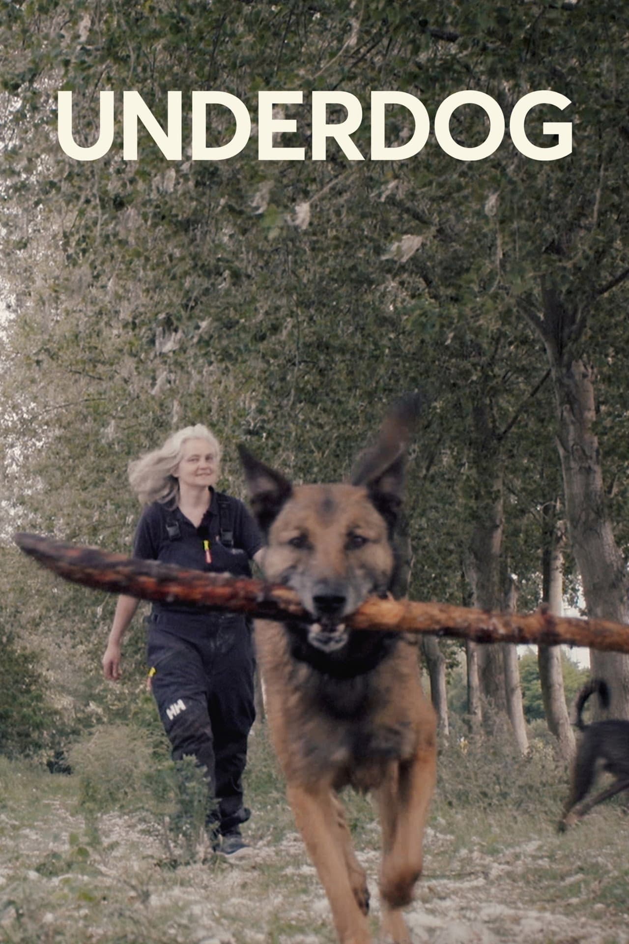 Underdog preview 2