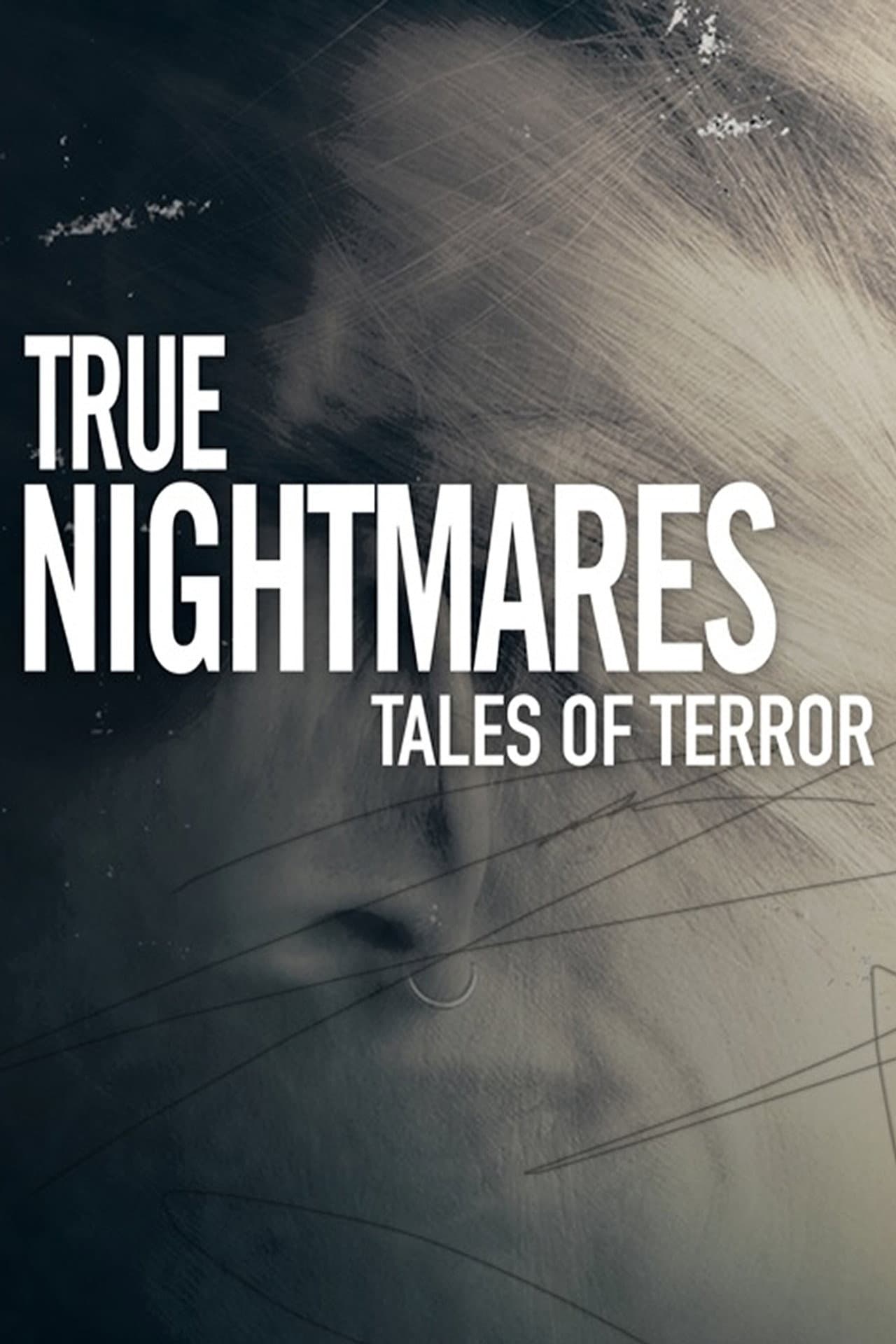 True Nightmares: Tales of Terror preview 2