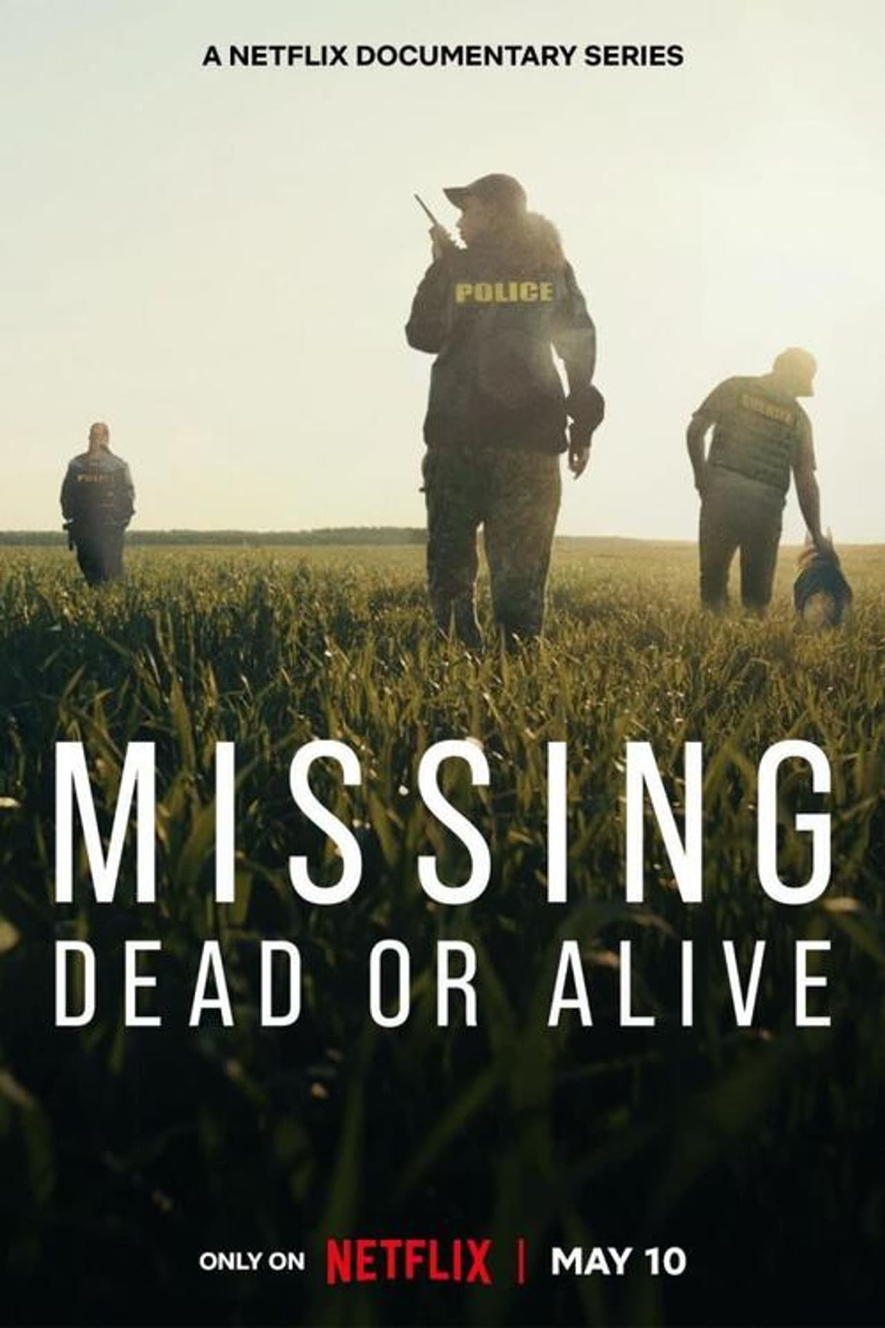 Missing: Dead or Alive? preview 2