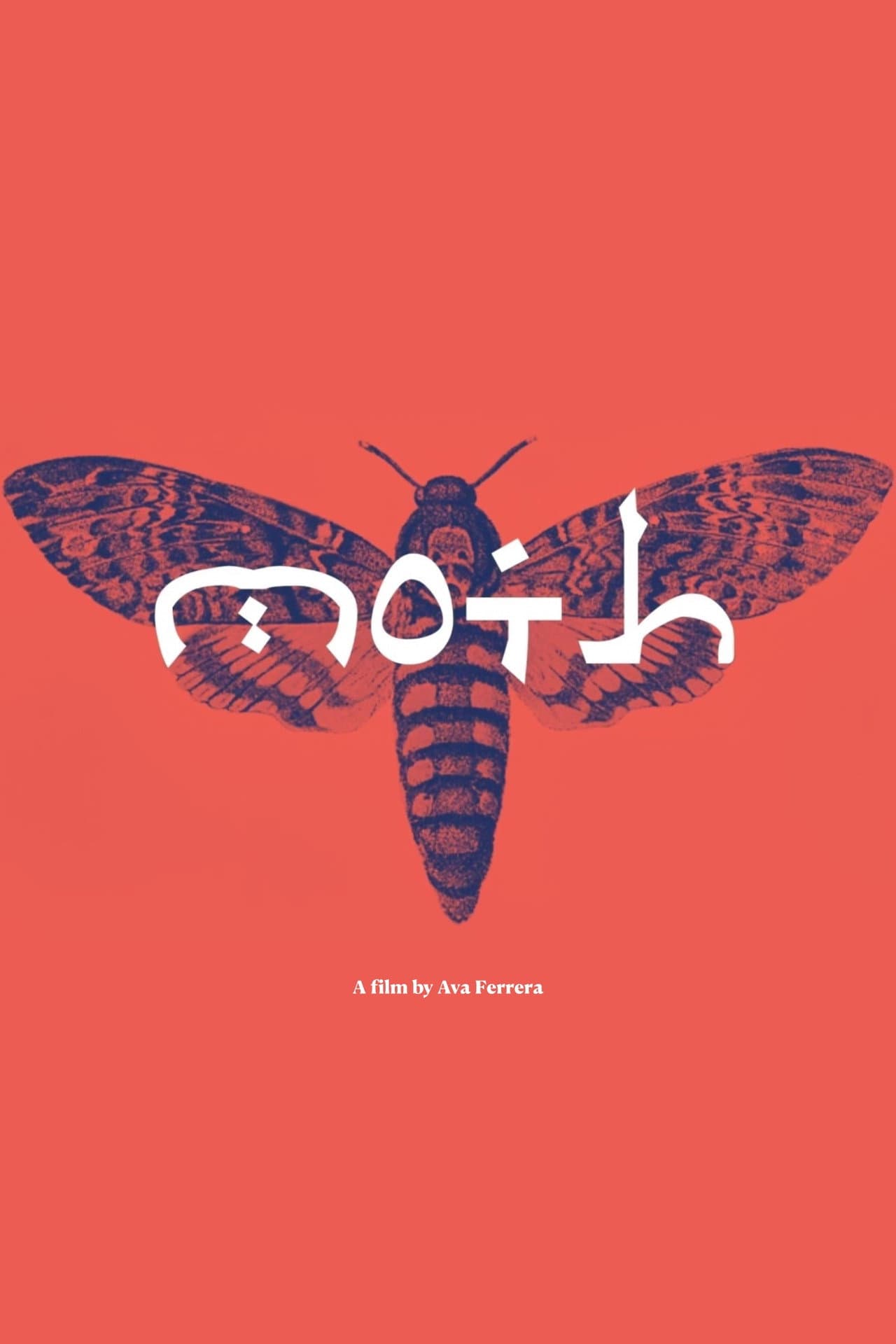 Moth preview 1