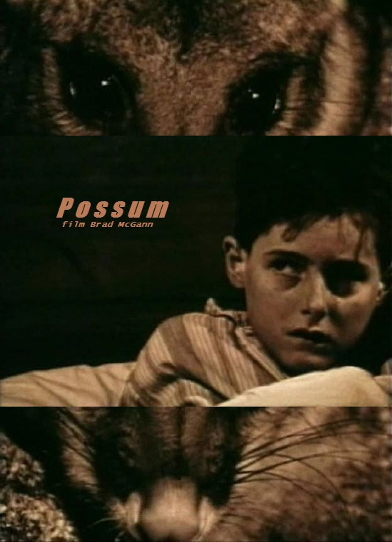 Possum preview 1