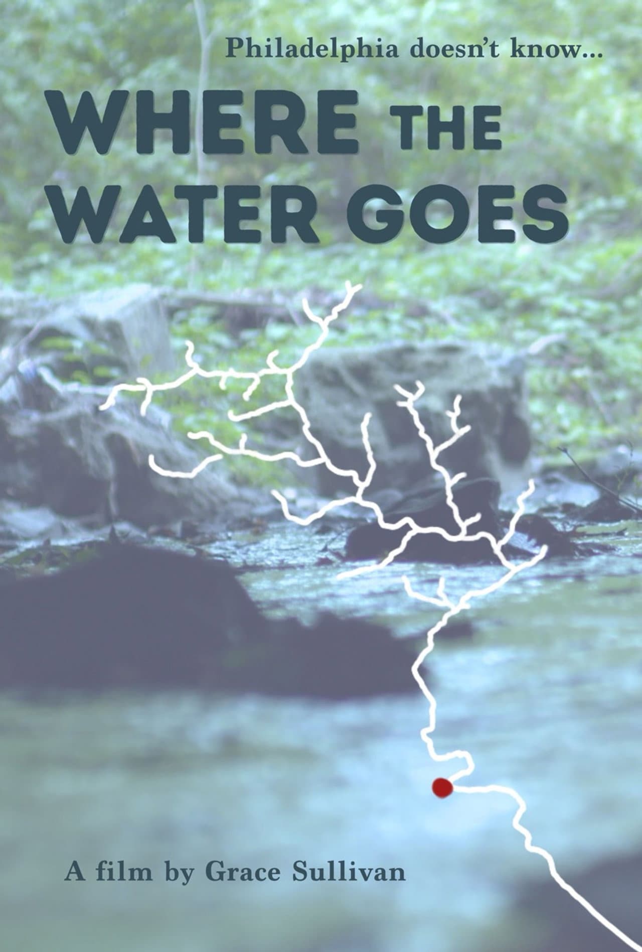 Where the Water Goes preview 1