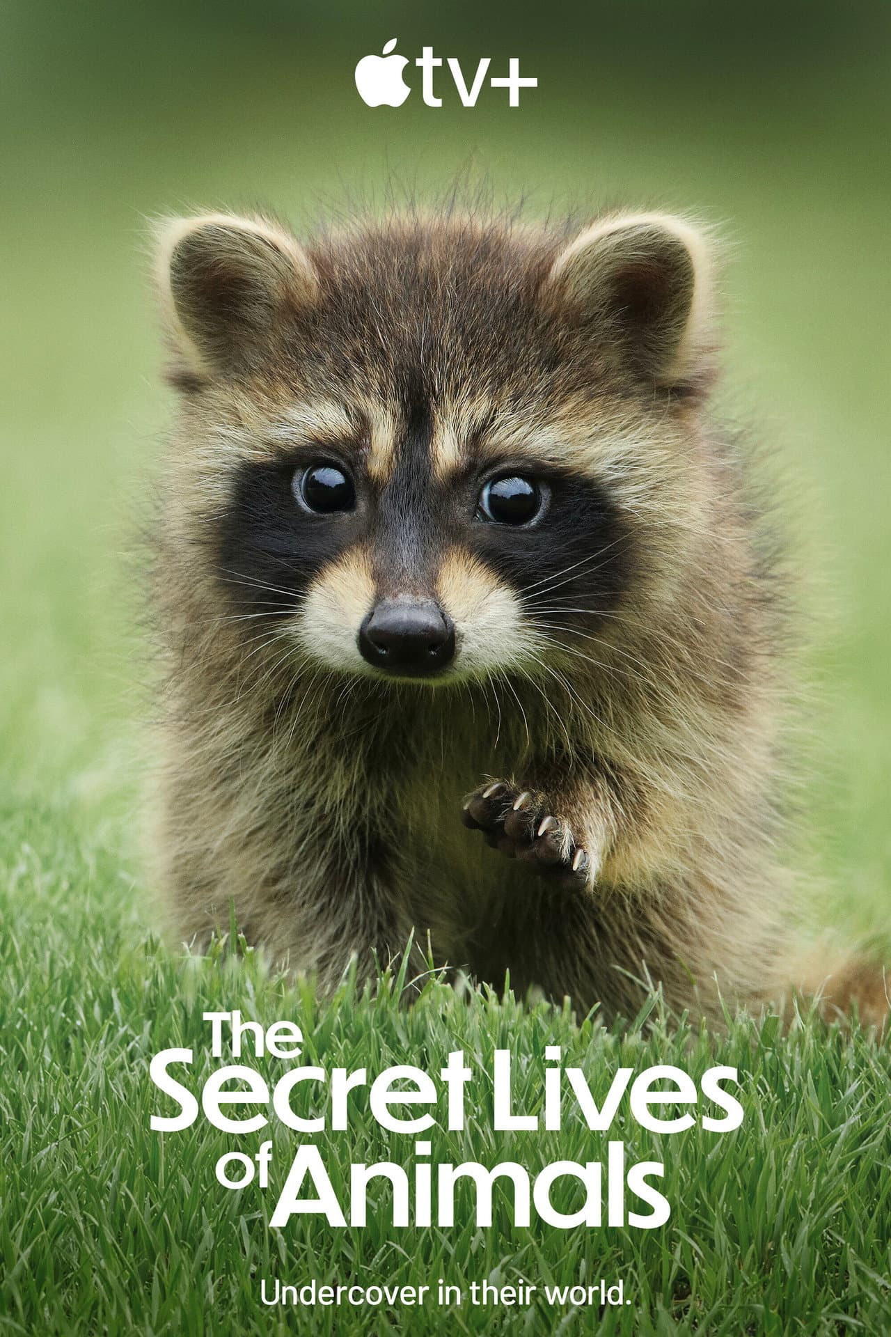 The Secret Lives of Animals preview 2