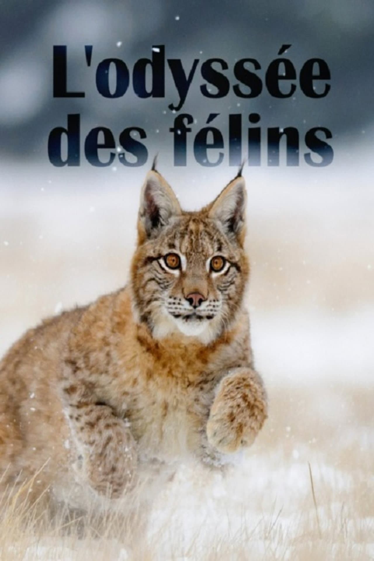 The Odyssey Of Felines preview 2