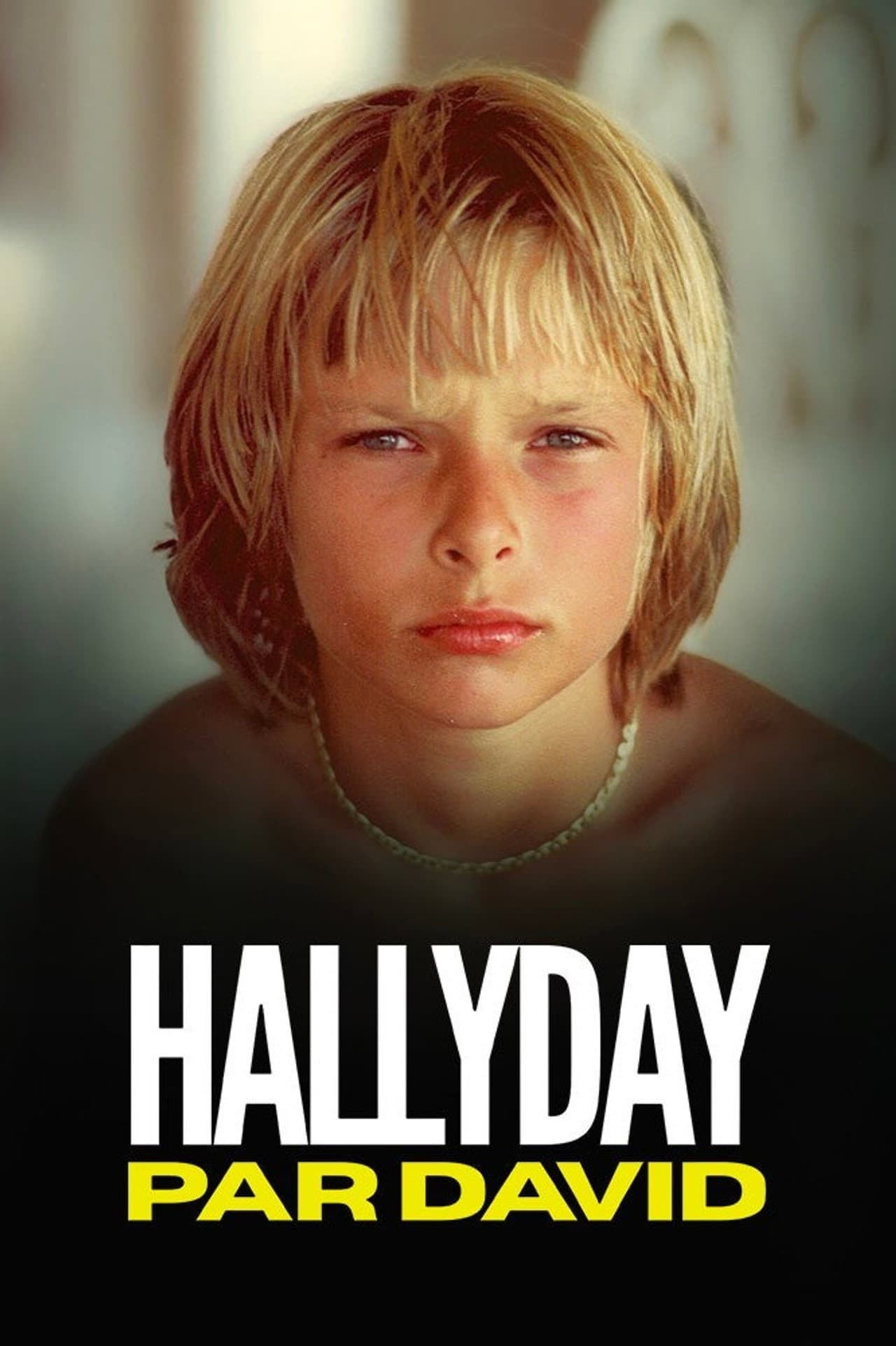Hallyday par David preview 2