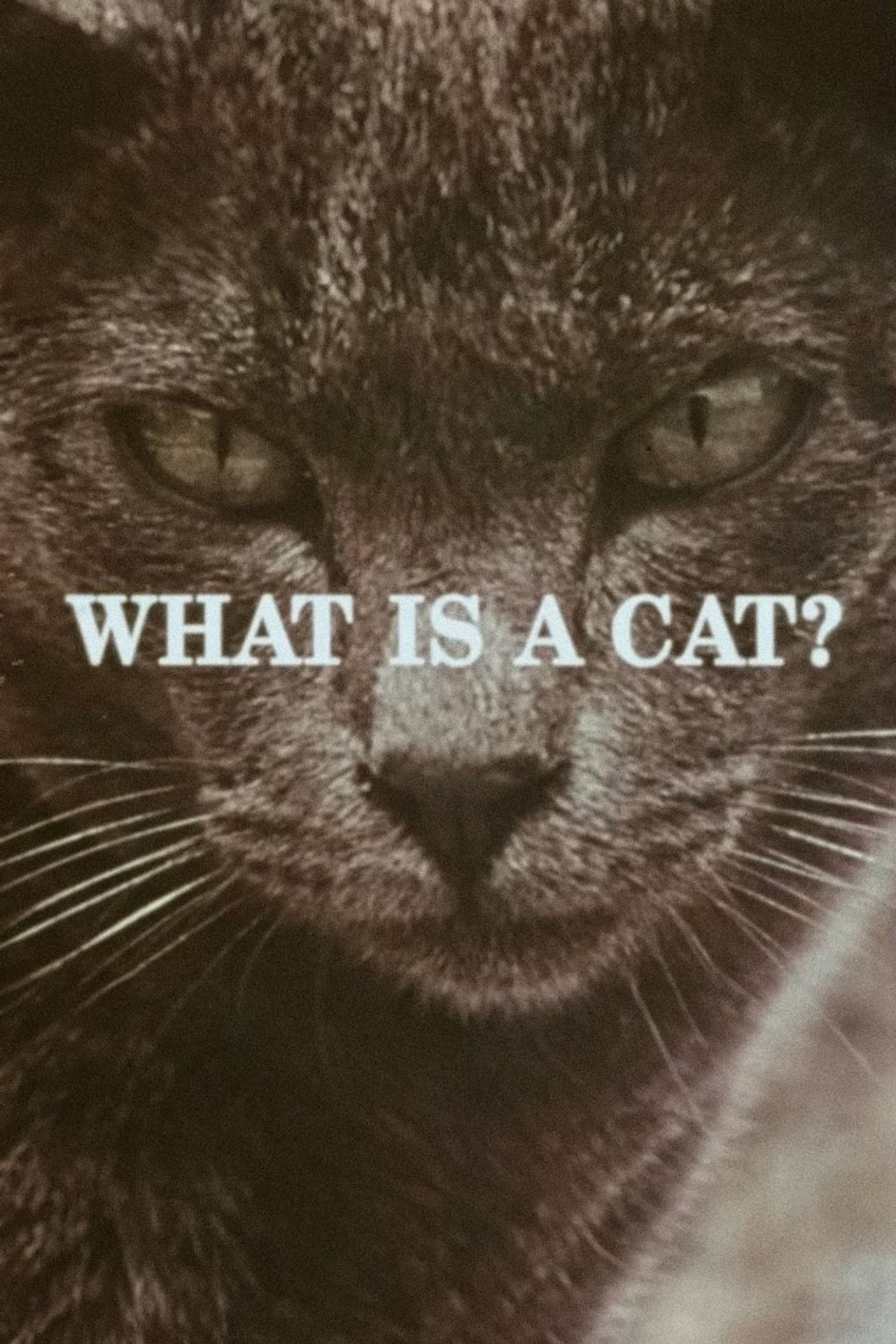What Is a Cat? preview 1