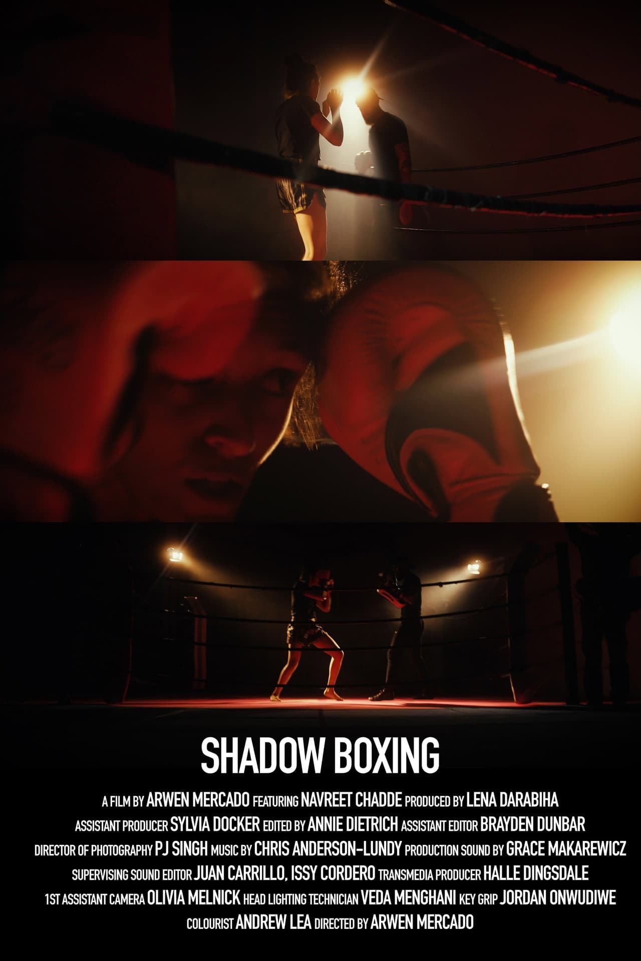 Shadow Boxing preview 1