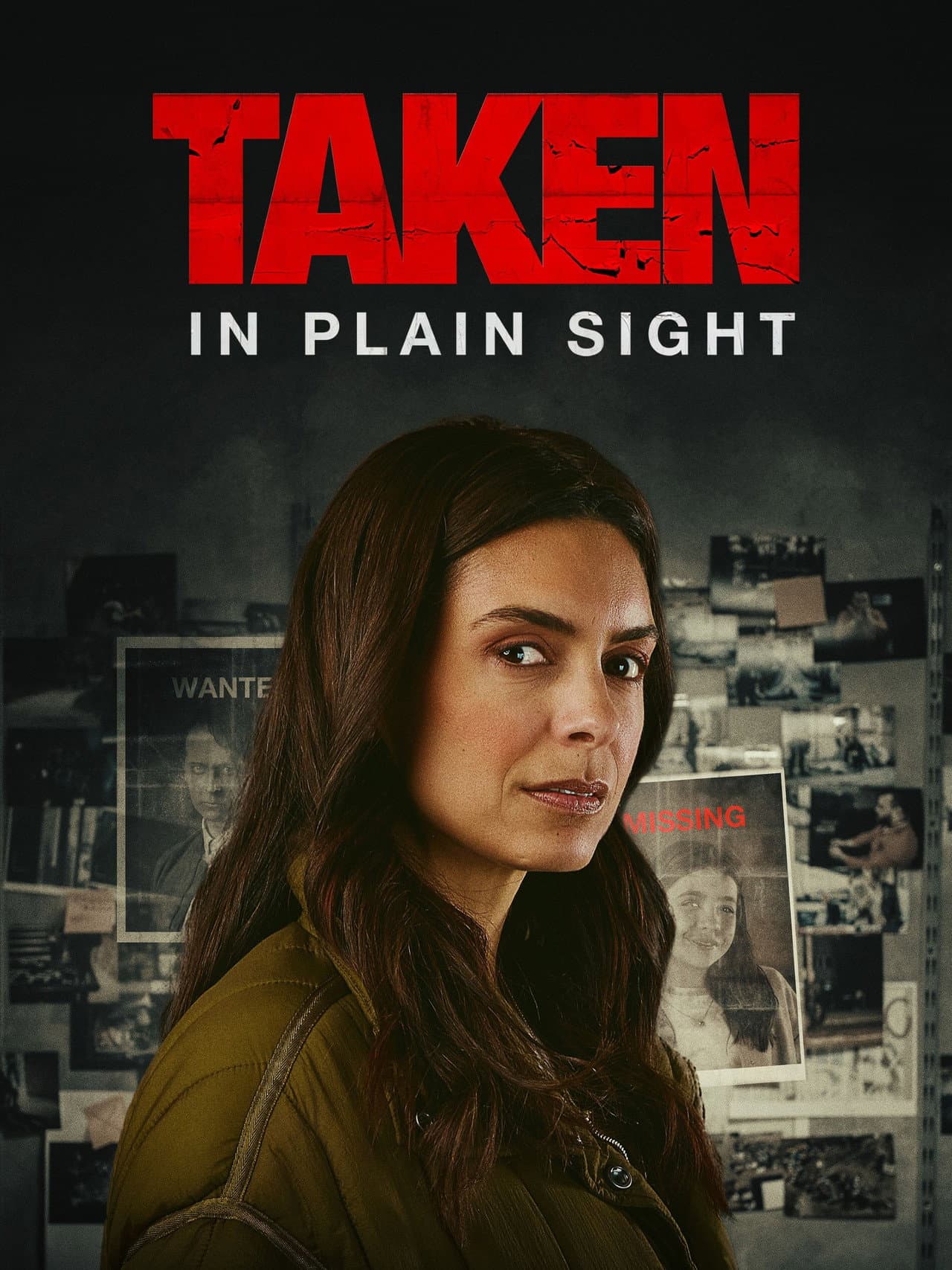 Taken in Plain Sight preview 2