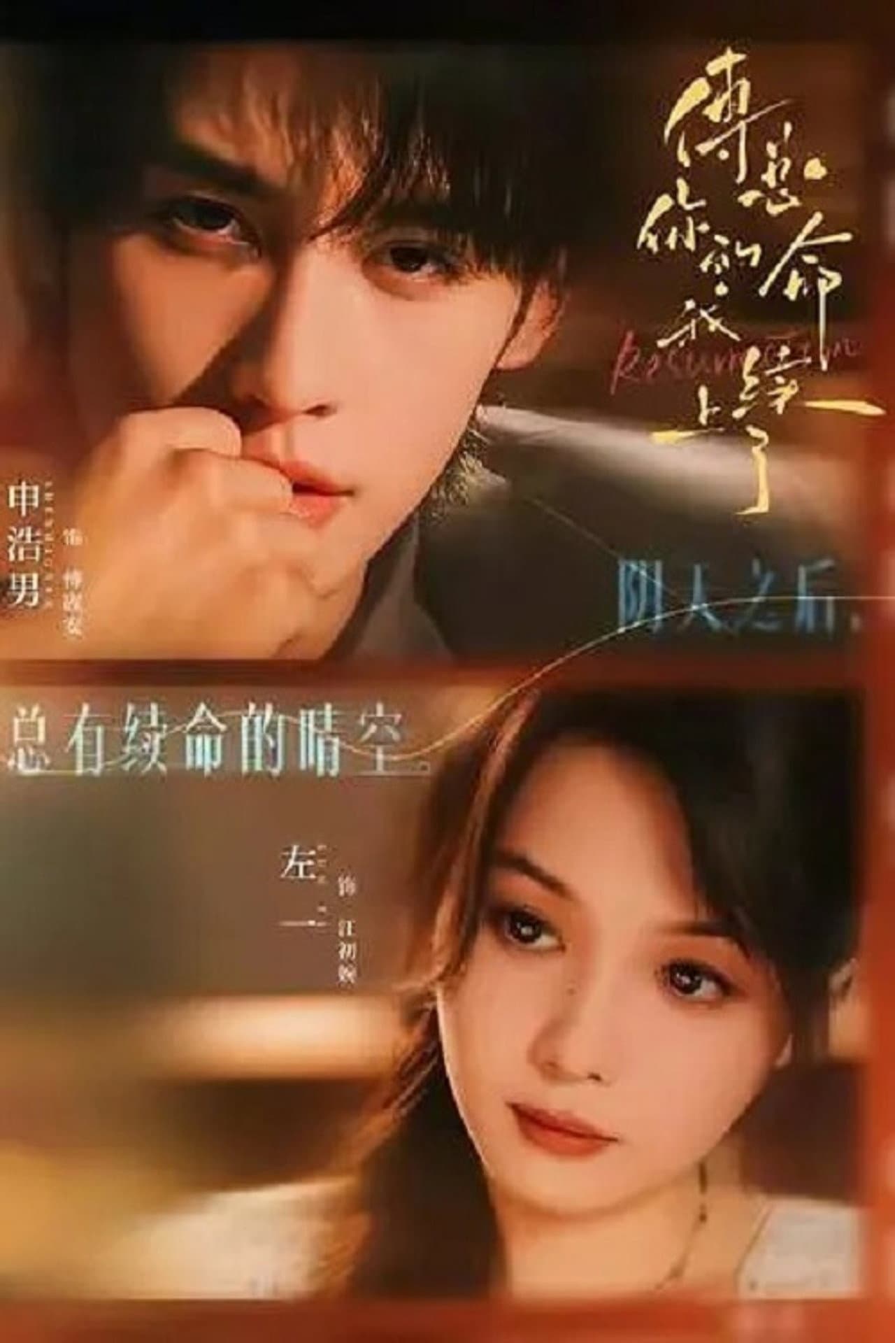 傅总，你的命我续上了 preview 1