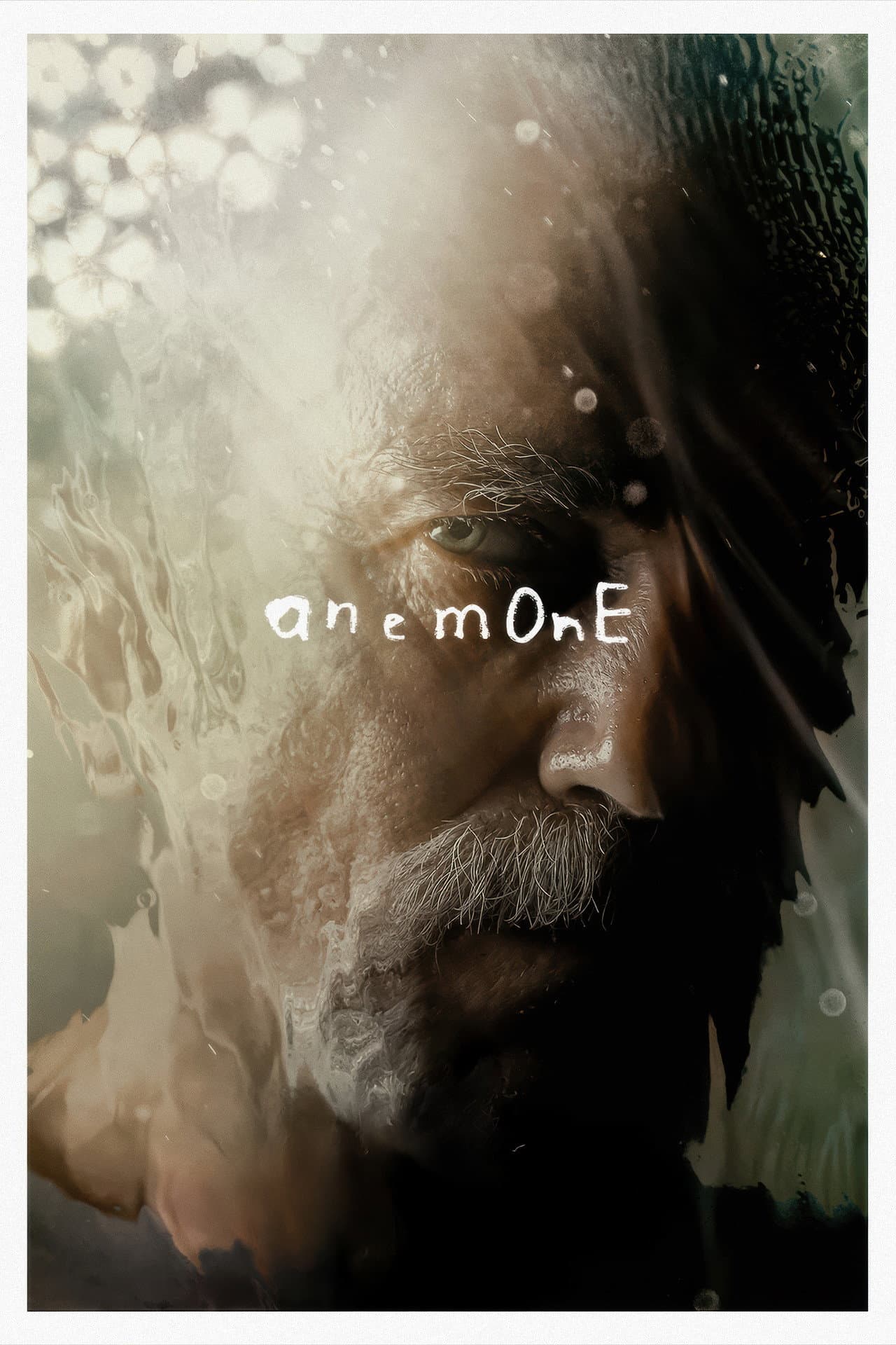 Anemone preview 2