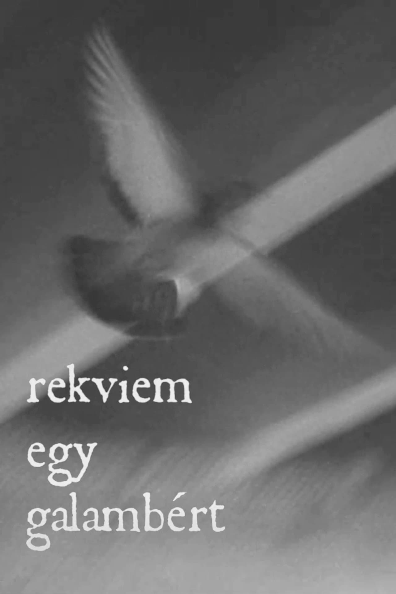Rekviem egy galambért preview 2