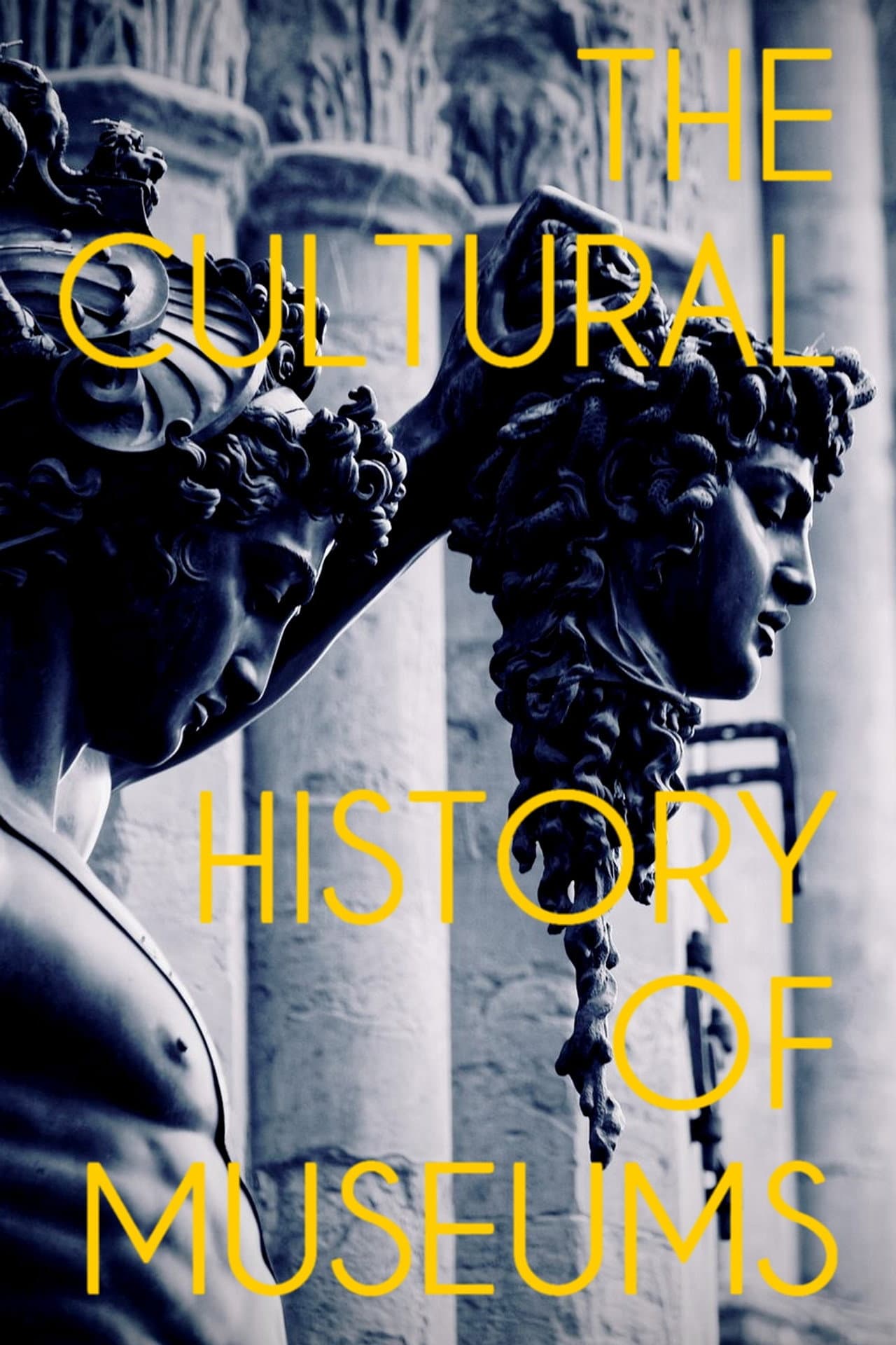 The Cultural History of Museums preview 2