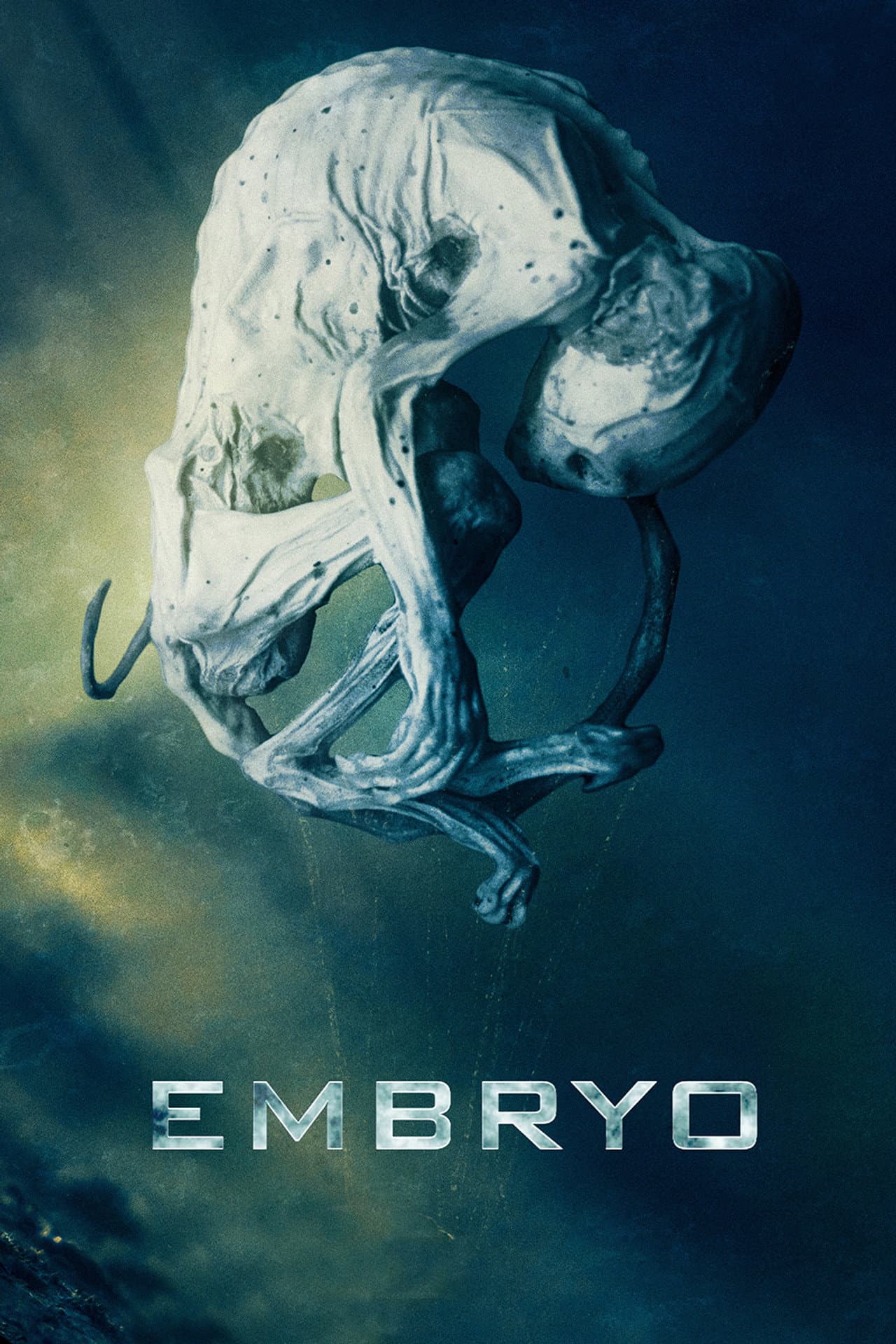 Embryo preview 2