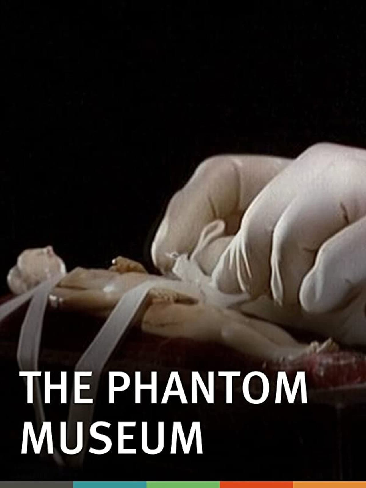 The Phantom Museum: Random Forays Into the Vaults of Sir Henry Wellcome's Medical Collection preview 1