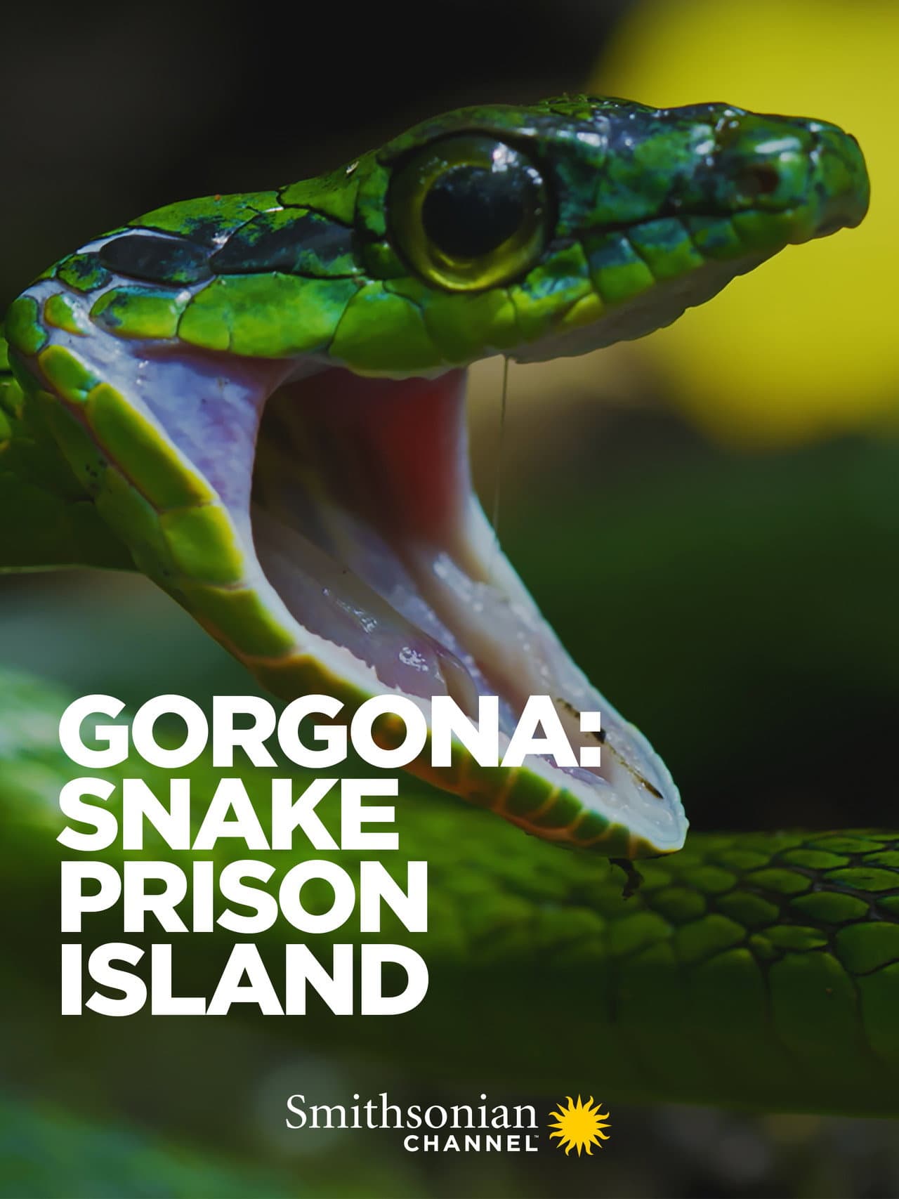 Gorgona: Snake Prison Island preview 1