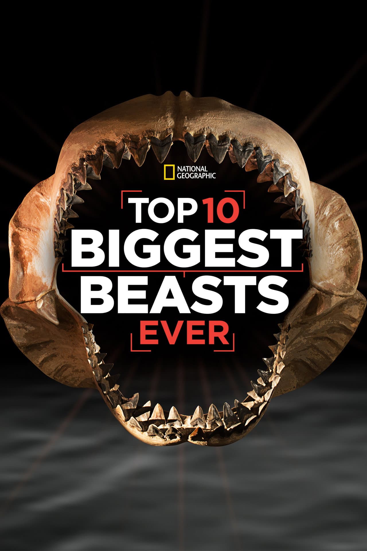 Top 10 Biggest Beasts Ever preview 2