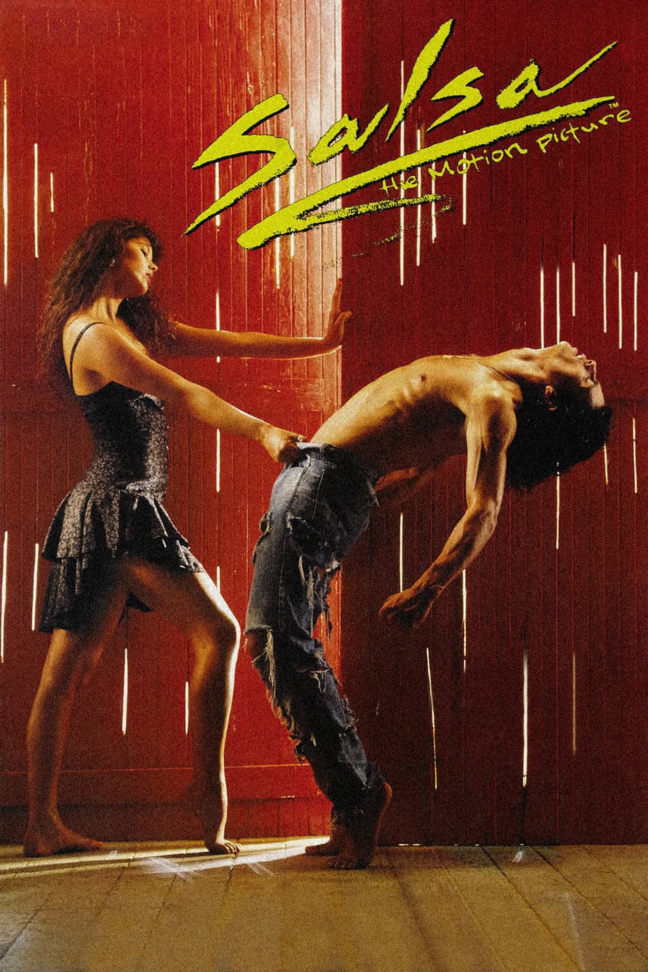 Salsa preview 2