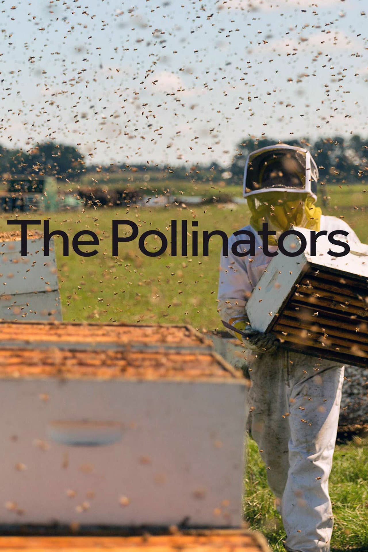 The Pollinators preview 2