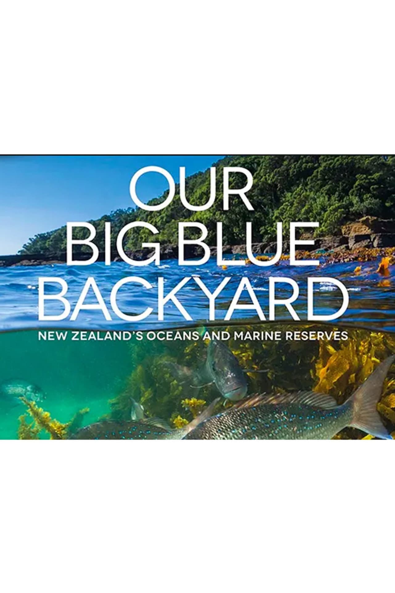 Our Big Blue Backyard preview 2