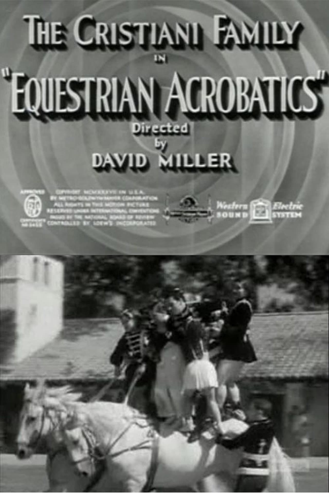 Equestrian Acrobats preview 1
