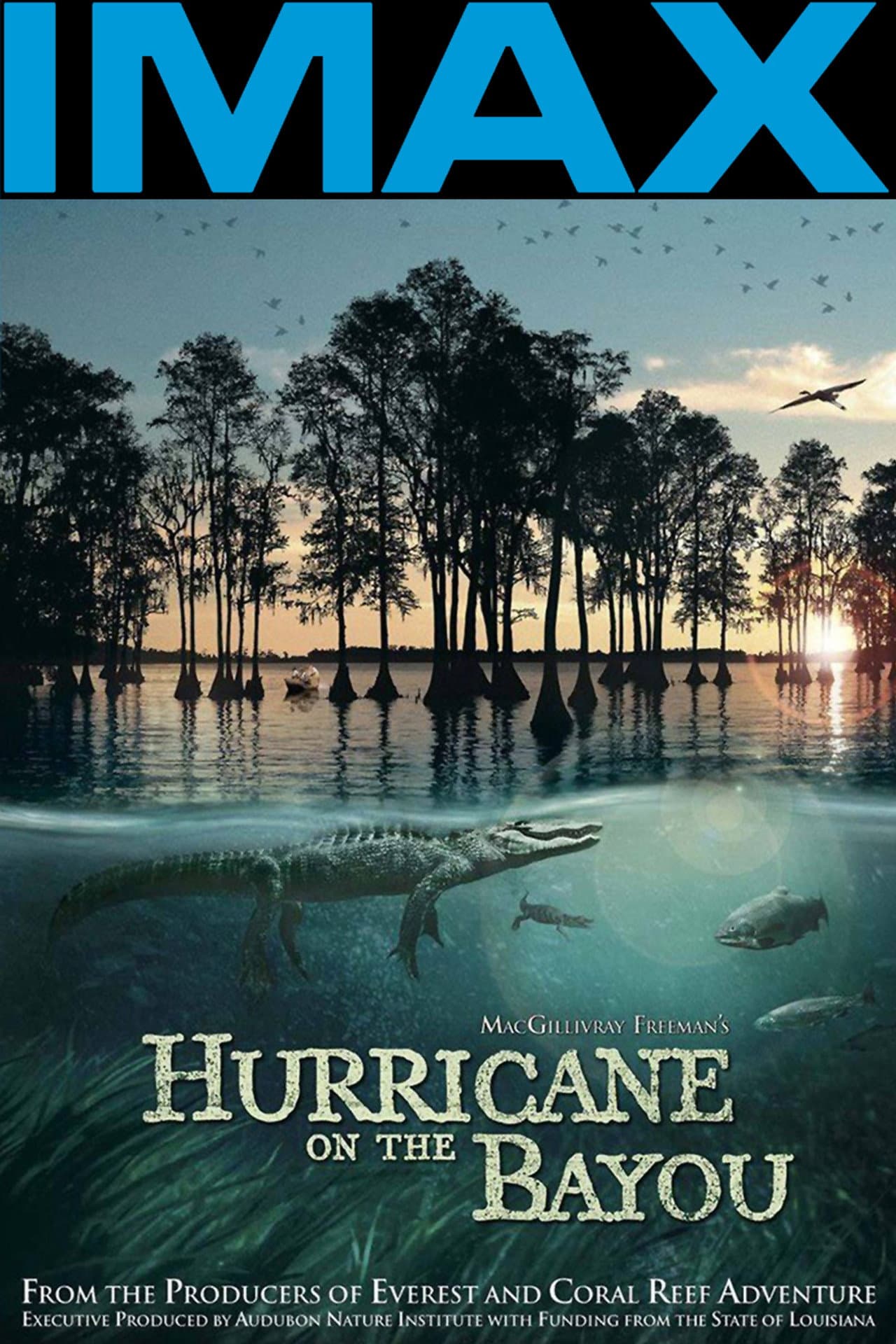 Hurricane on the Bayou preview 2
