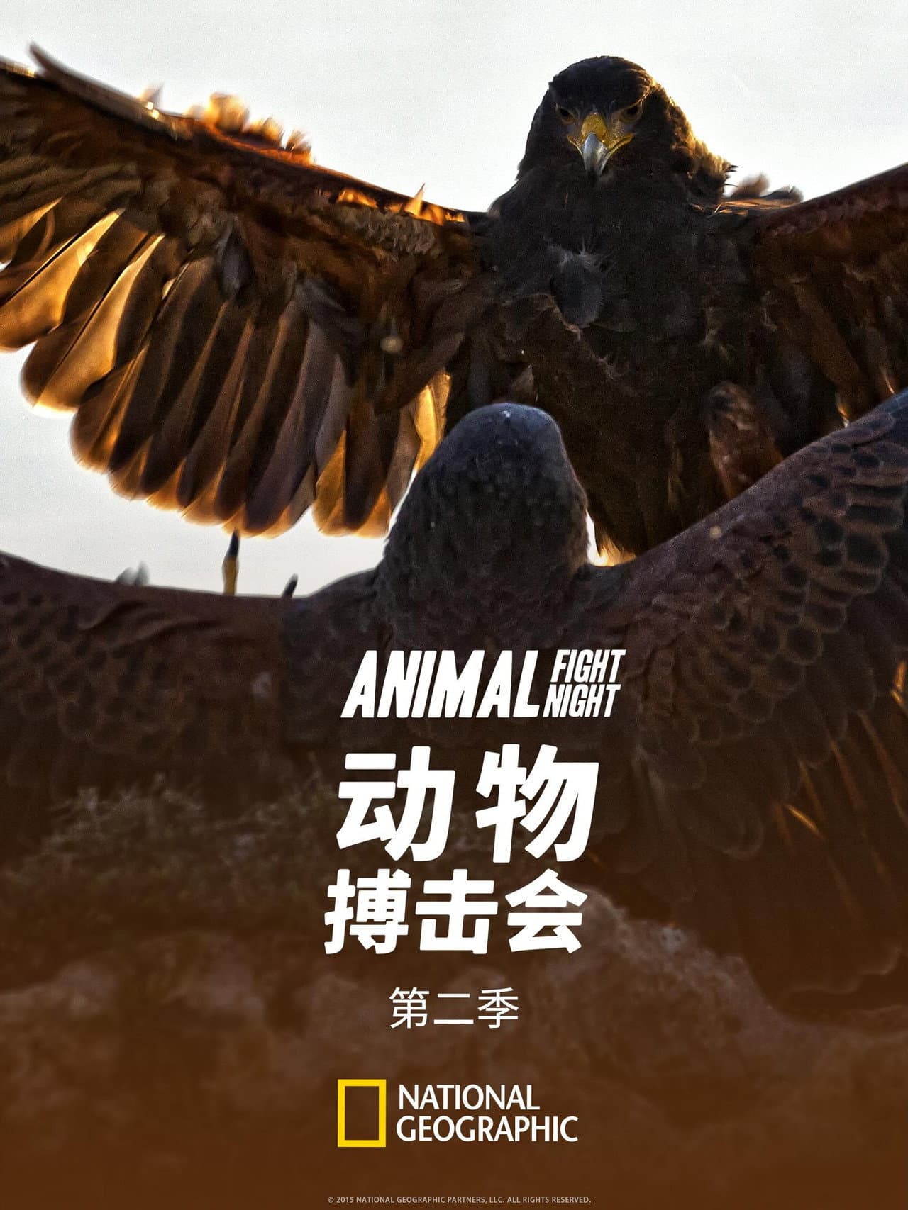 Season 2