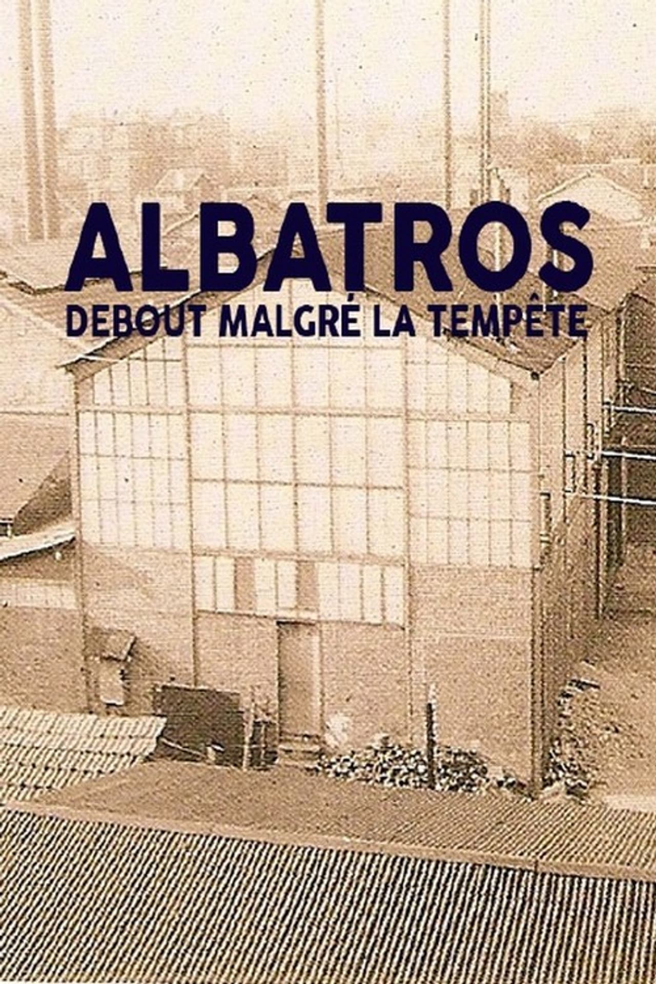 Albatros, debout malgré la tempête preview 1