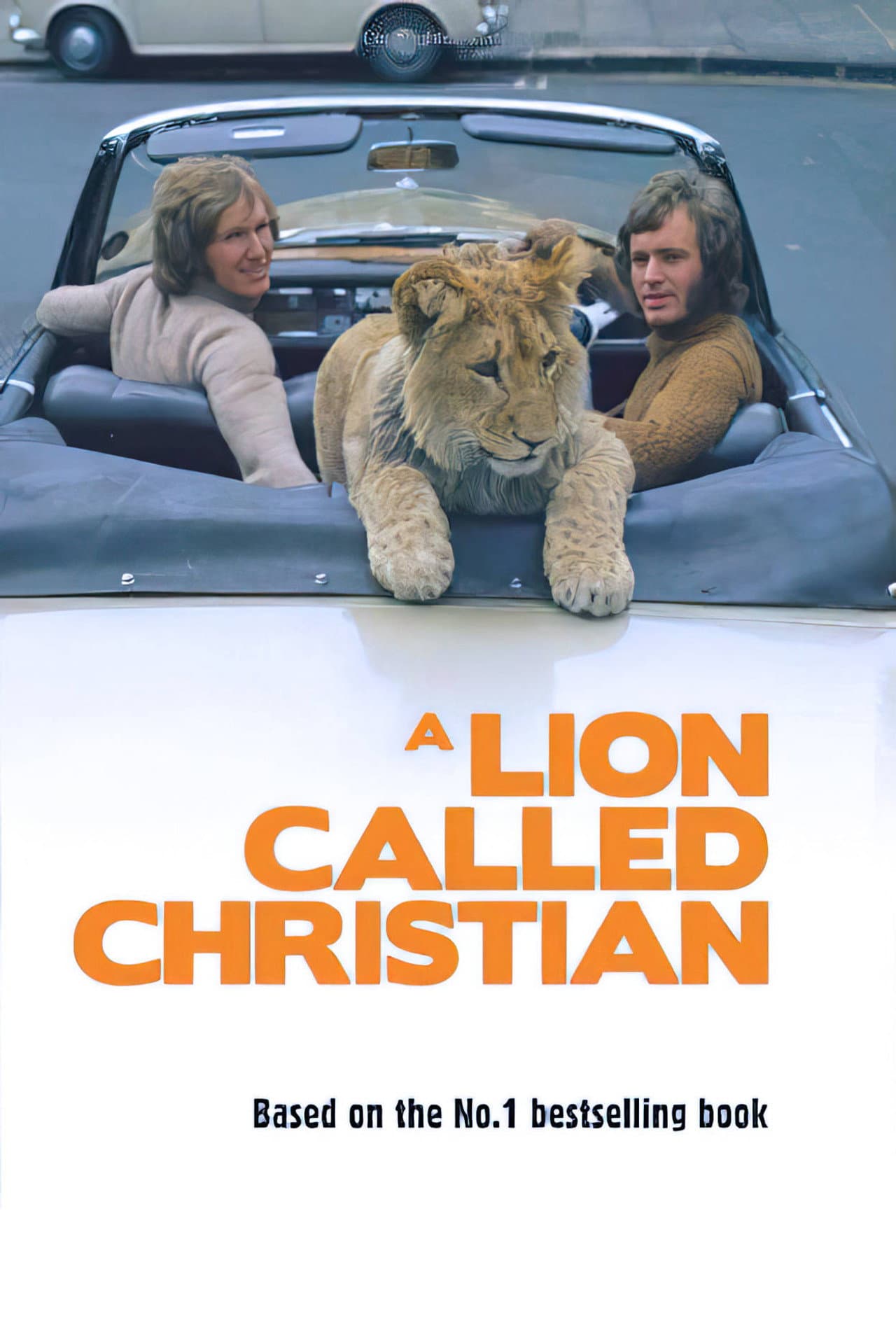 A Lion Called Christian preview 2