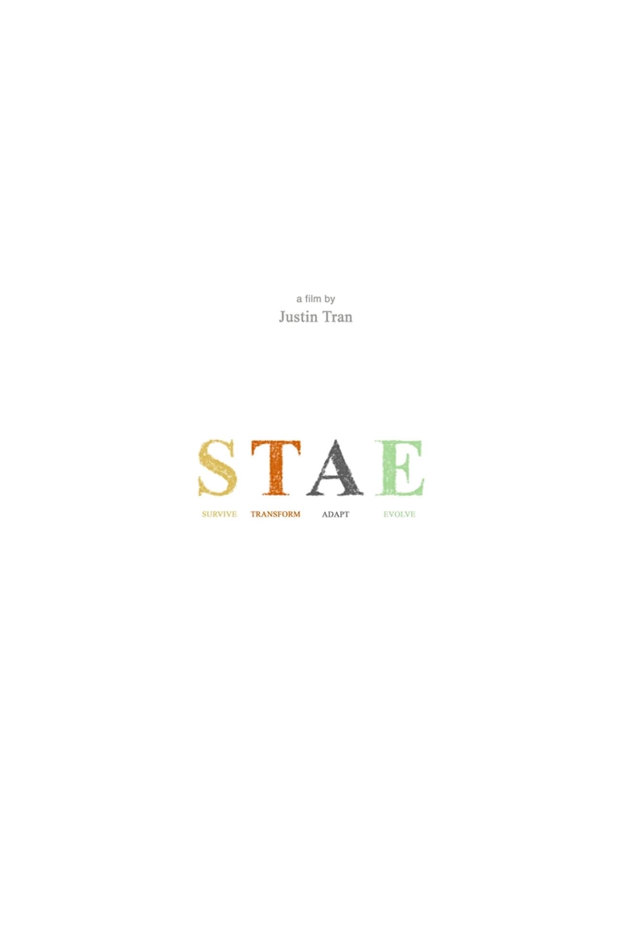 STAE preview 1