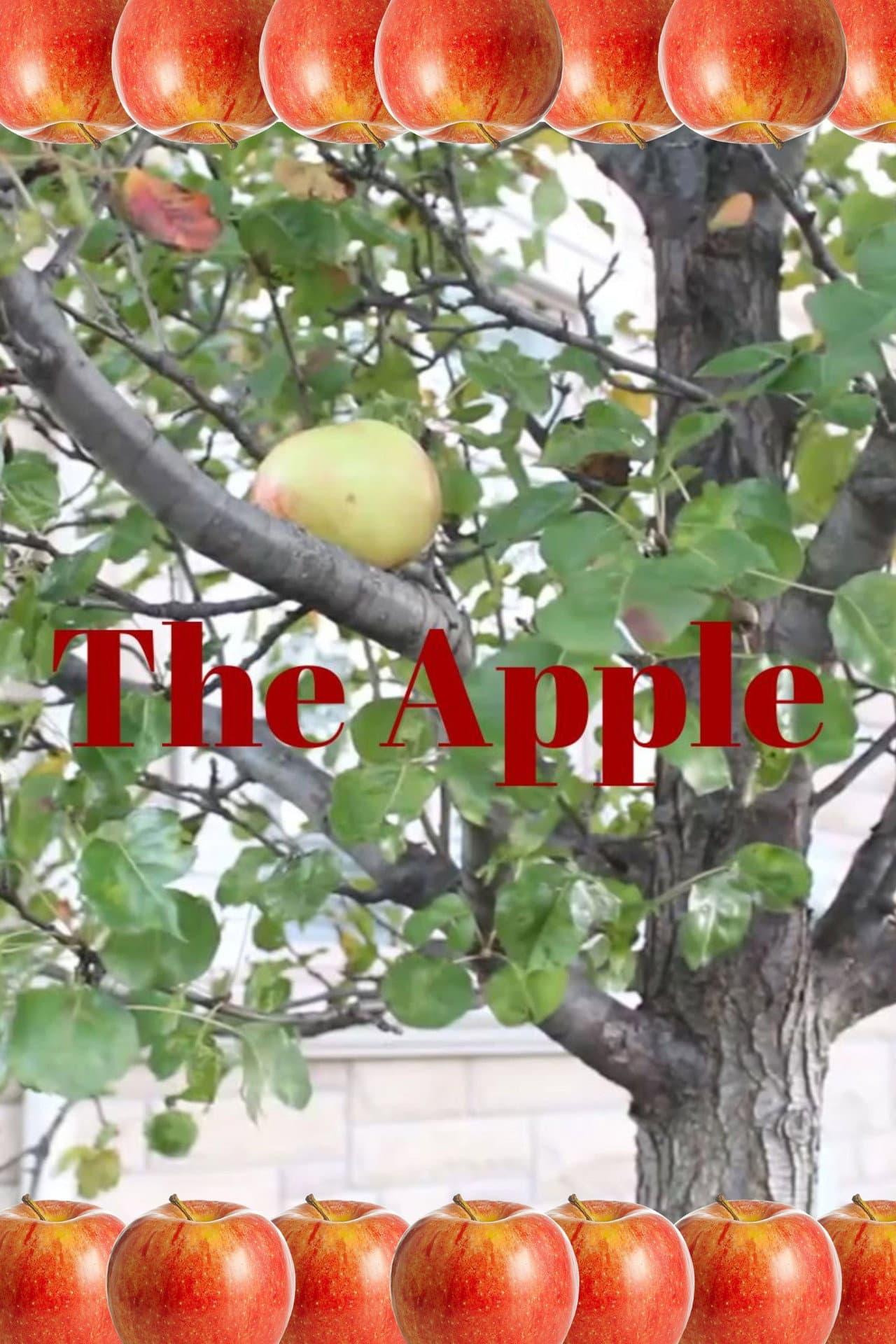 The Apple preview 2